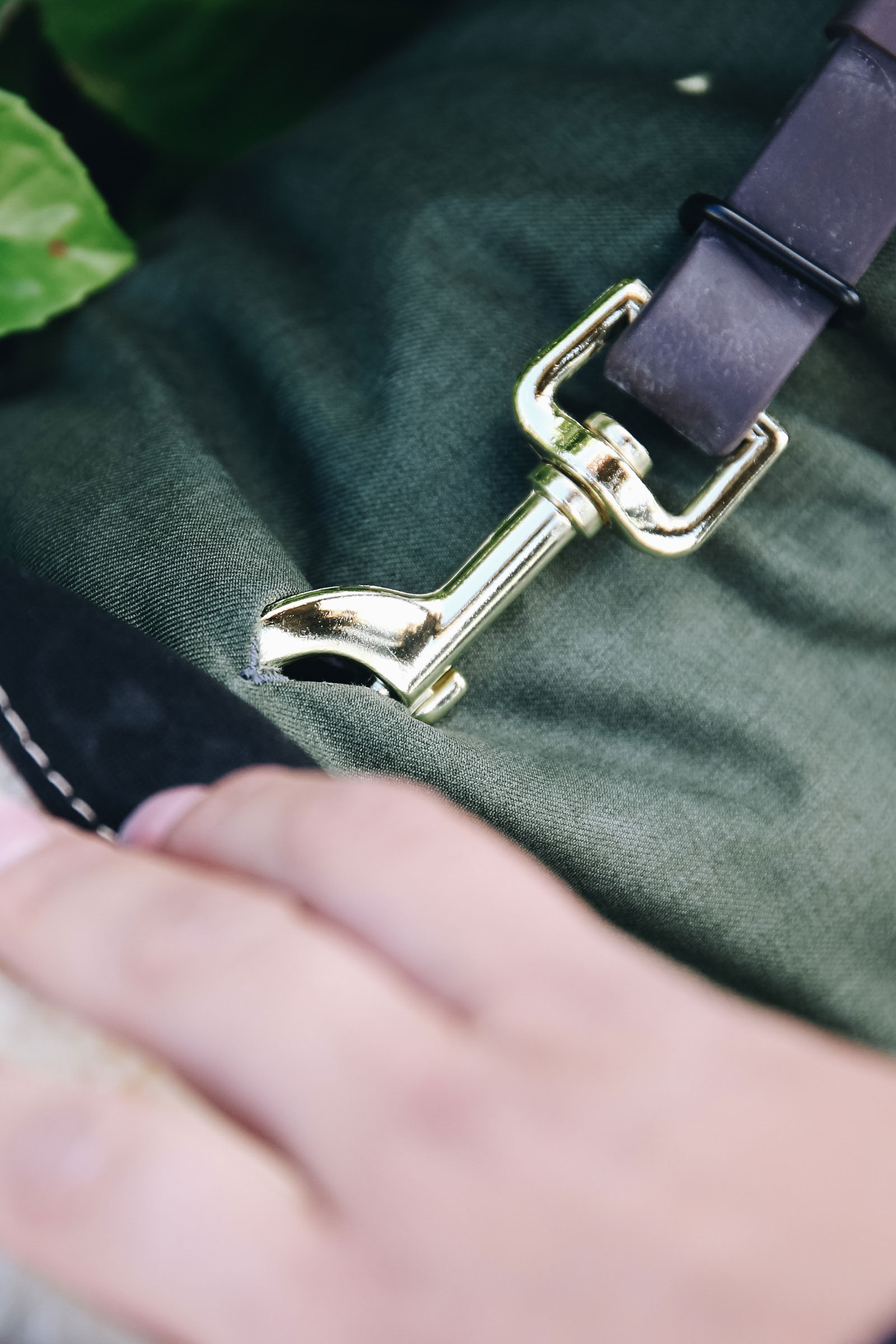 Derka wodoodporna dla psa Kentucky Dogwear