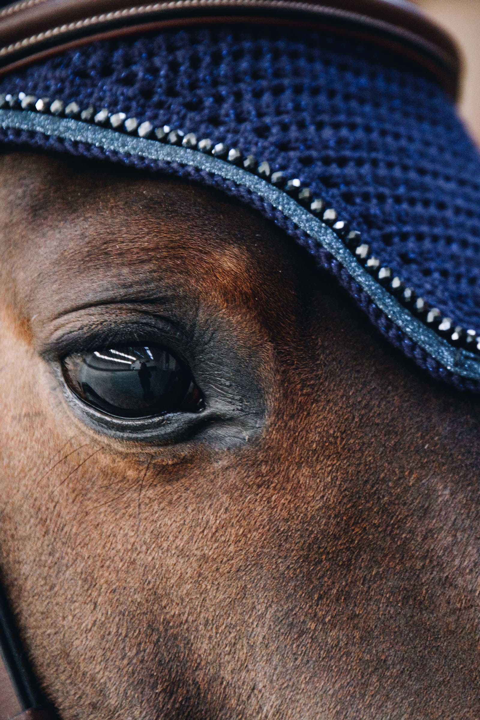 Kentucky Horsewear nauszniki Wellington z brokatem  