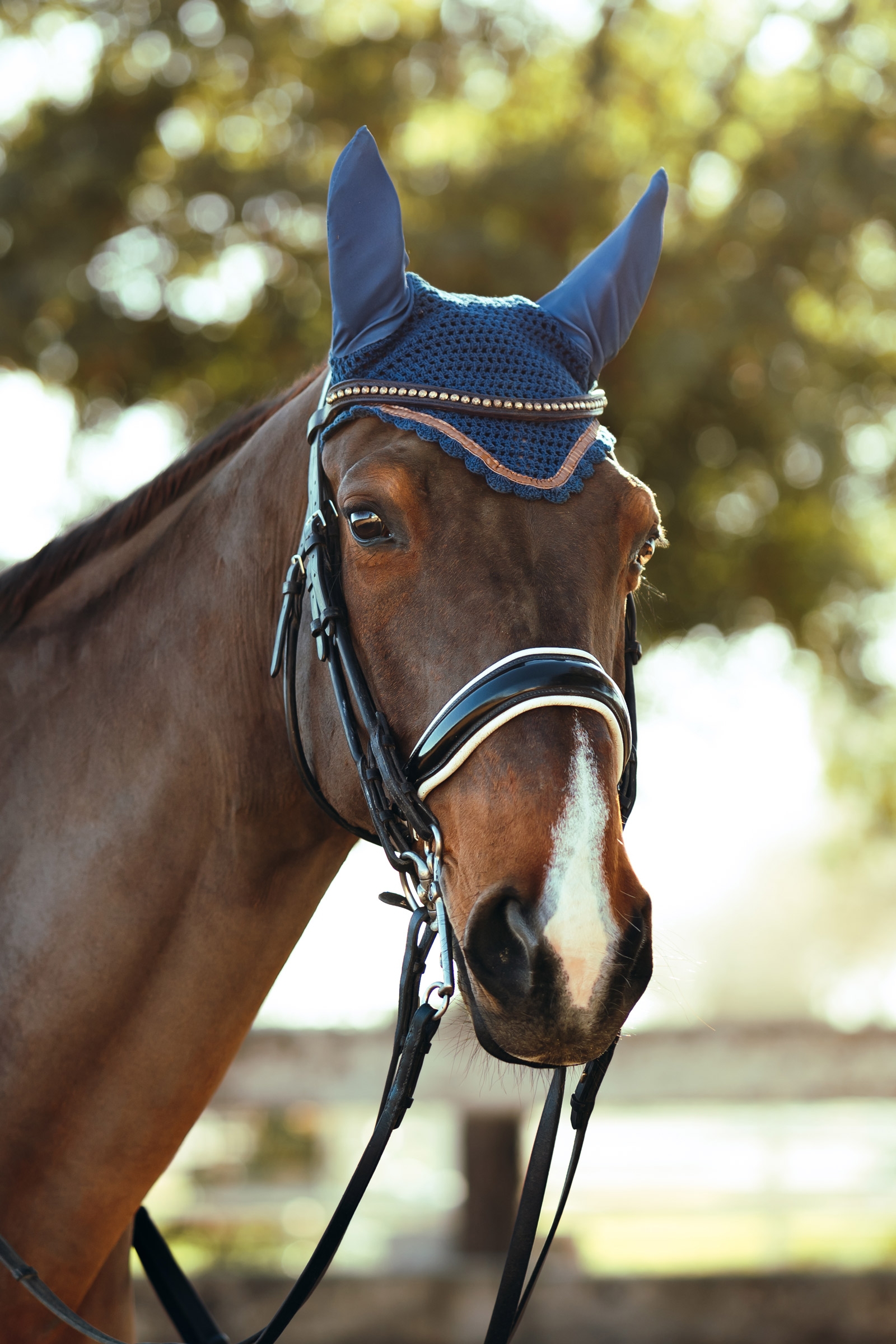 Horze Munich Nauszniki z metalicznym wykończeniem