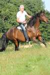 F.R.A. Freedom Riding Articles Free Pad do jazdy na oklep, Full