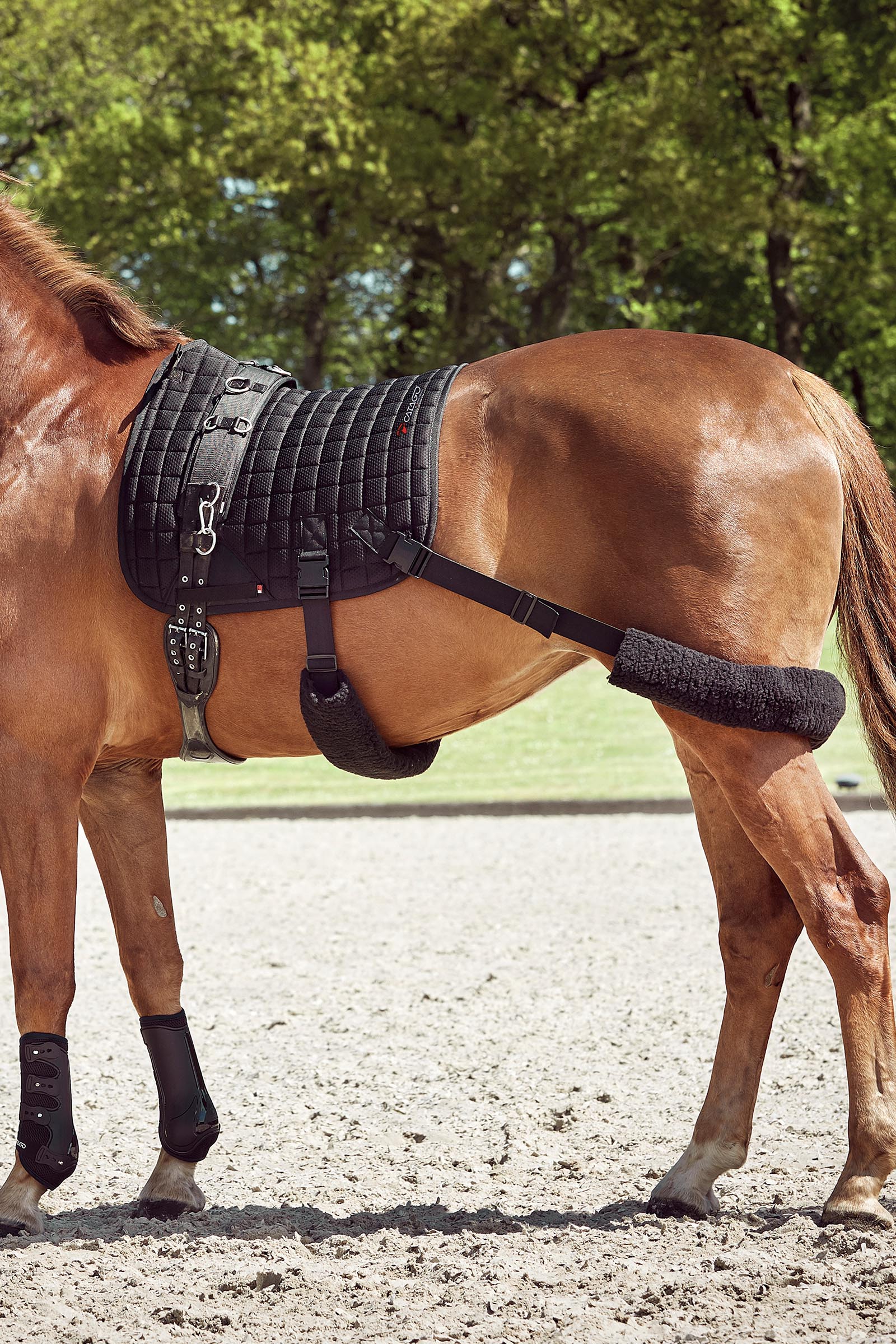 Catago FIR-Tech czaprak treningowy z elastycznymi paskami