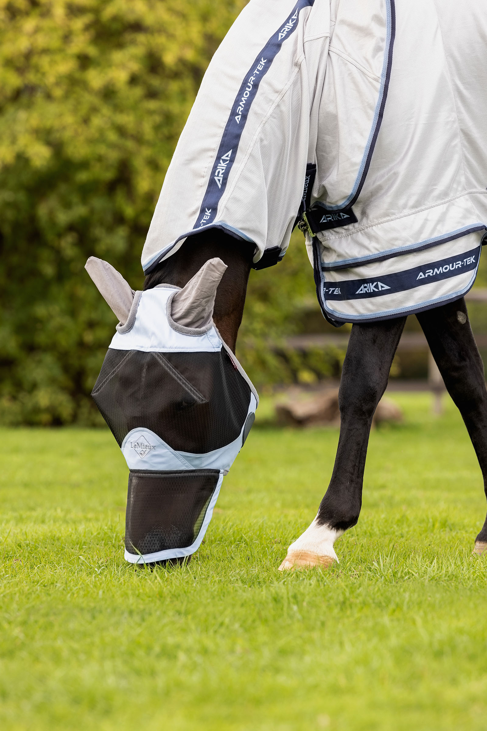 LeMieux Kudos Gladiator derka przeciwko owadom