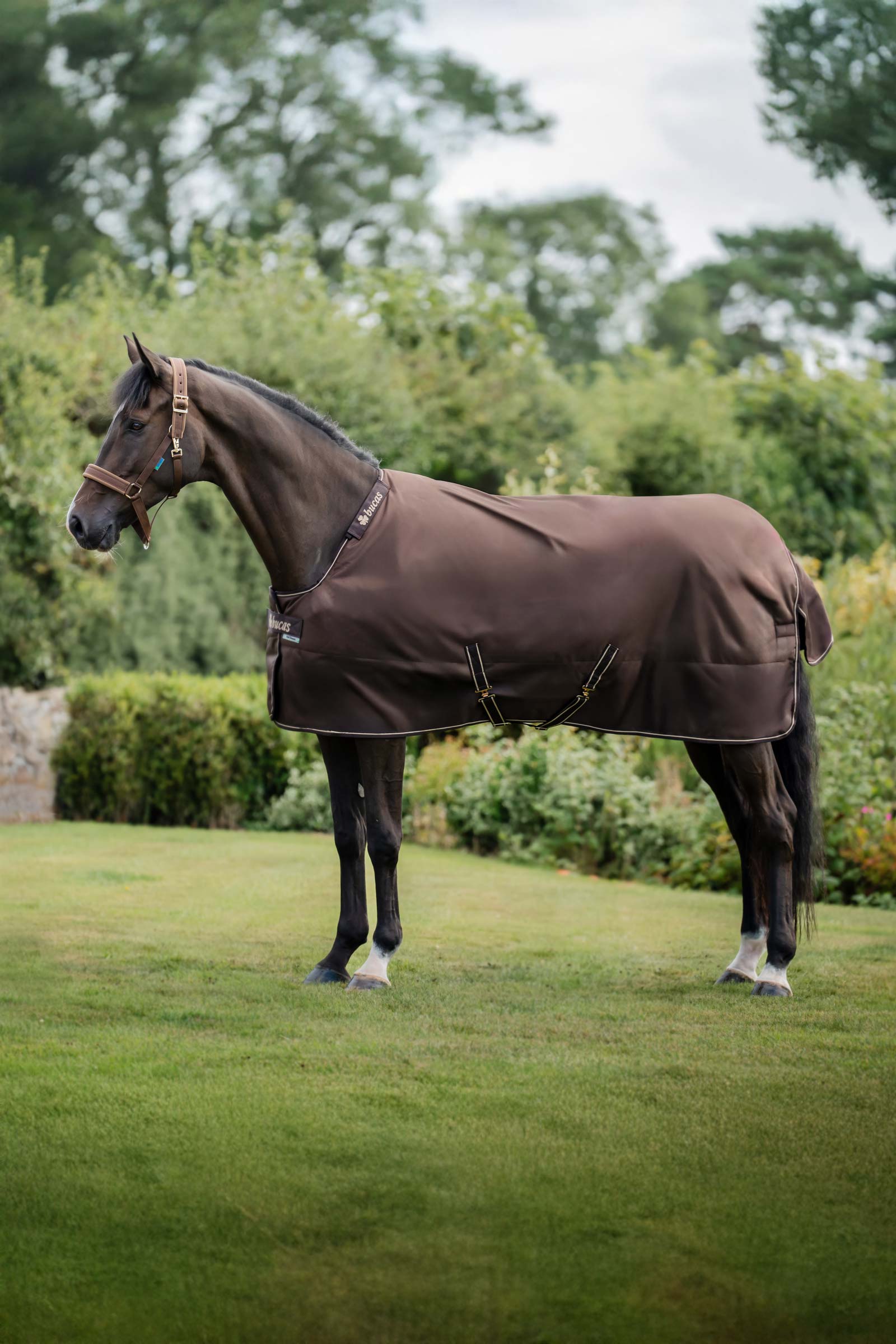 Bucas Irish Turnout Rug, 300 g & Neck Set