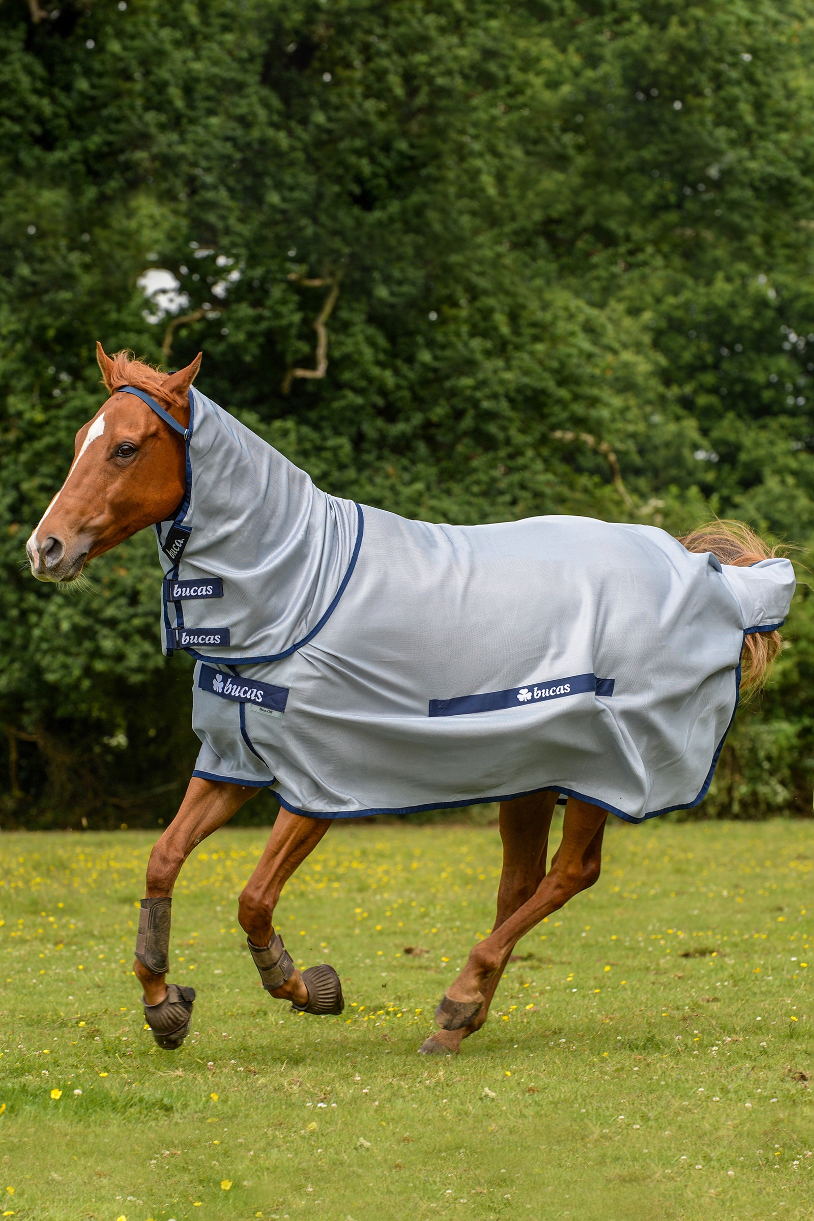Bucas Buzz-Off Full Neck Fly Rug Pony with fixed Neck