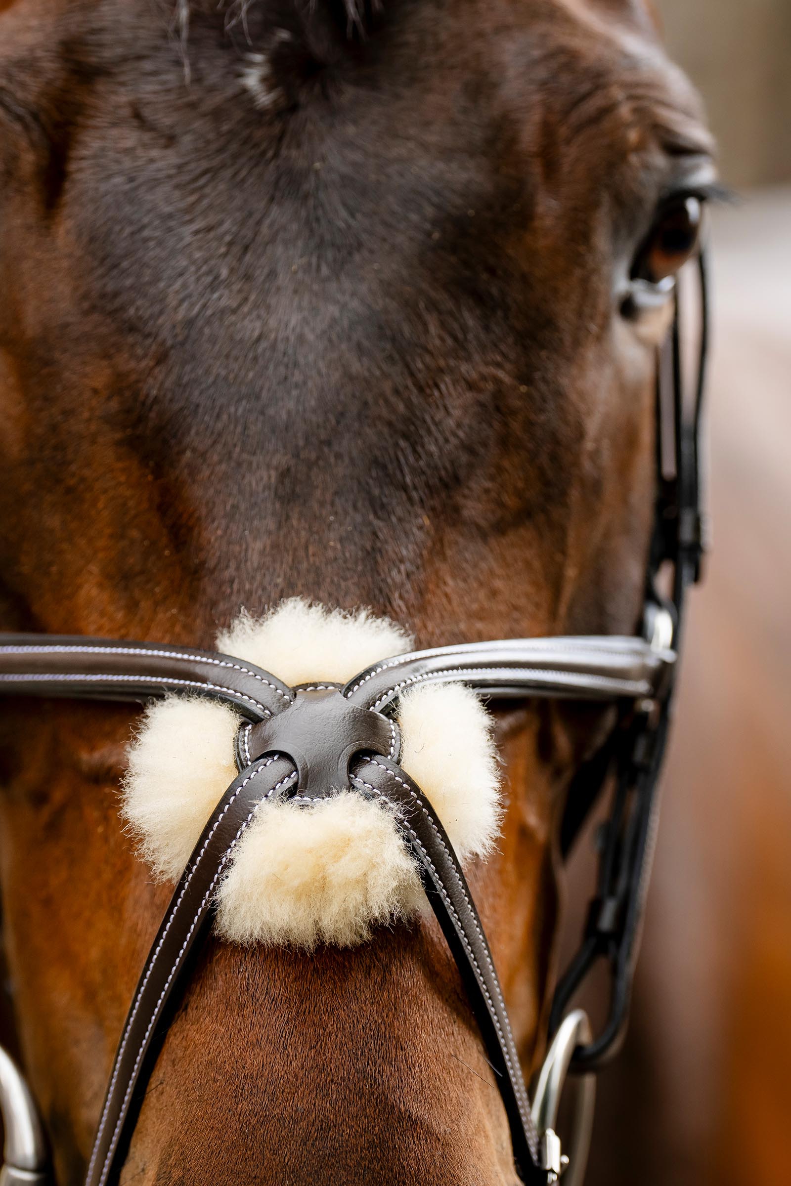 Horseware ogłowie z nachrapnikiem krzyżowym