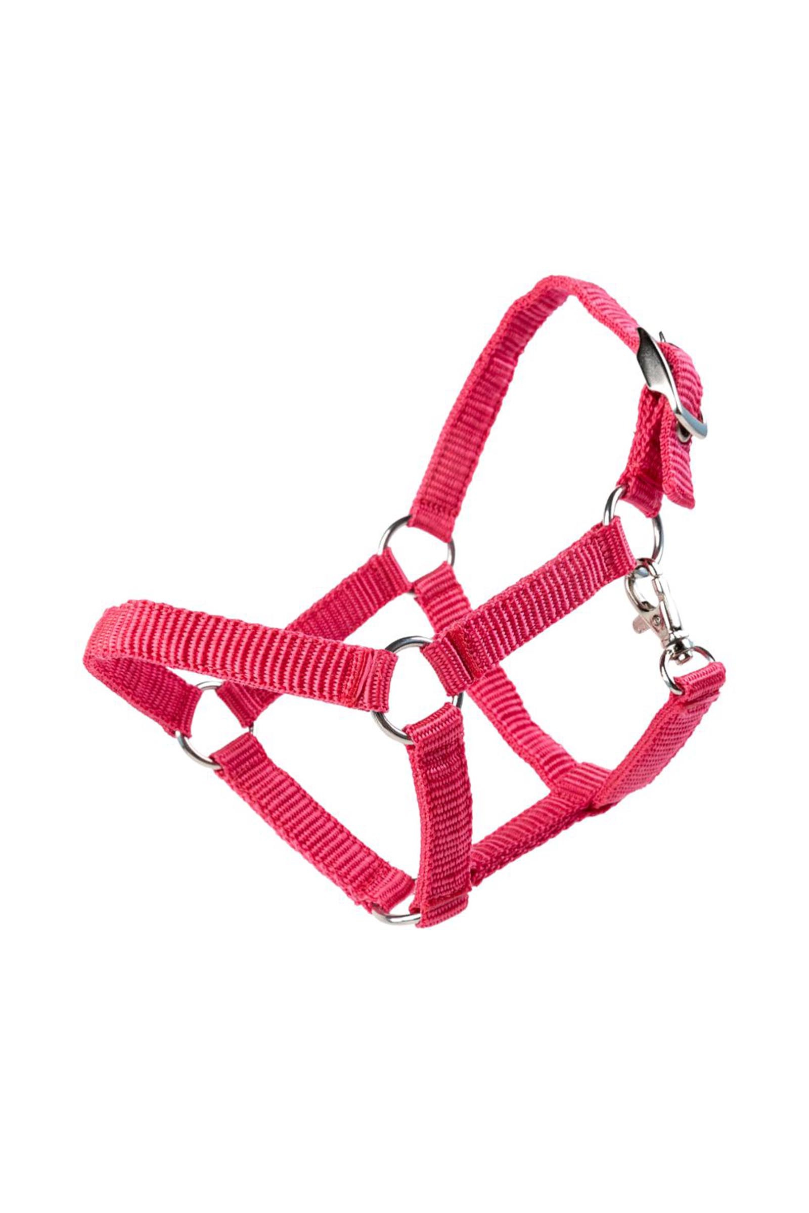 My Hobby Horse kantar nylonowy