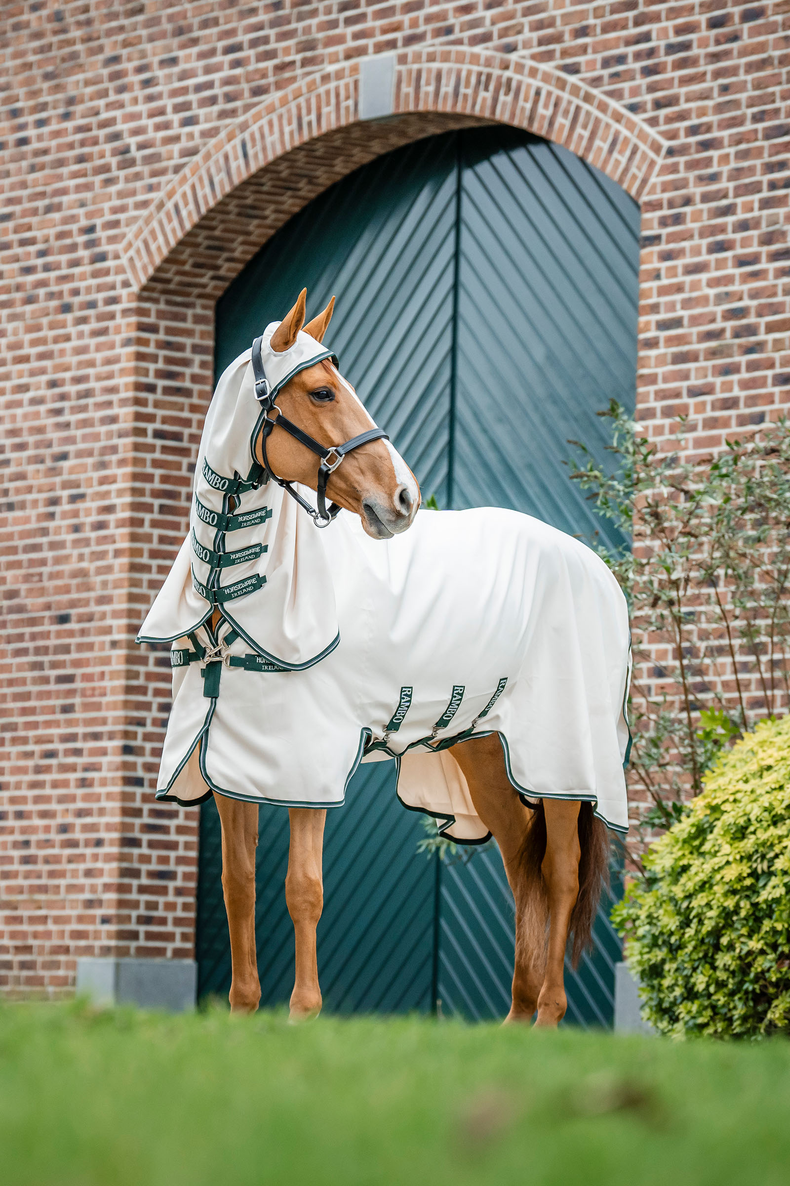 Chalk / Hunter Green & Silver Horseware Rambo Derka z kapturem