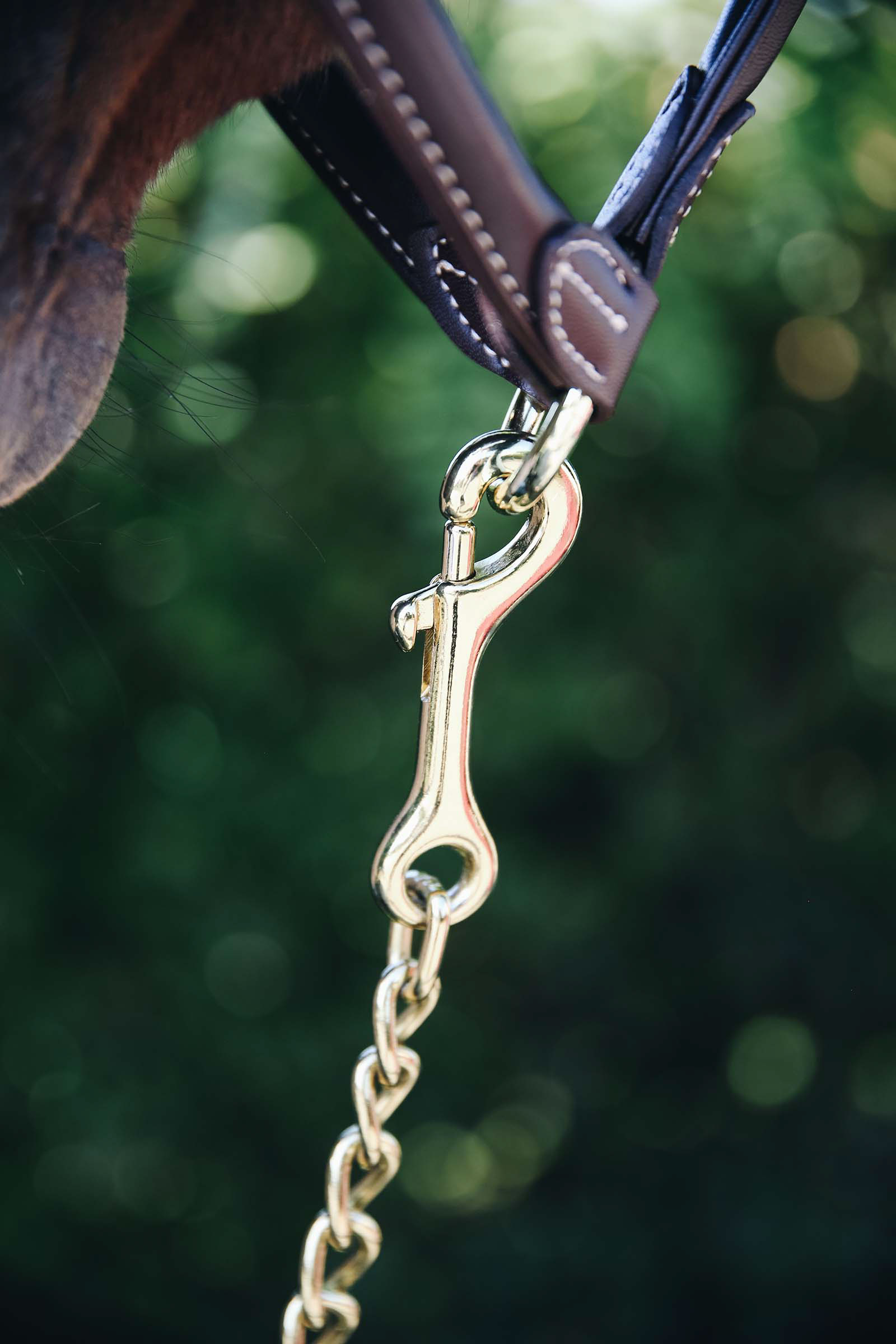 Łańcuch Kentucky Horsewear Stallion 60 cm