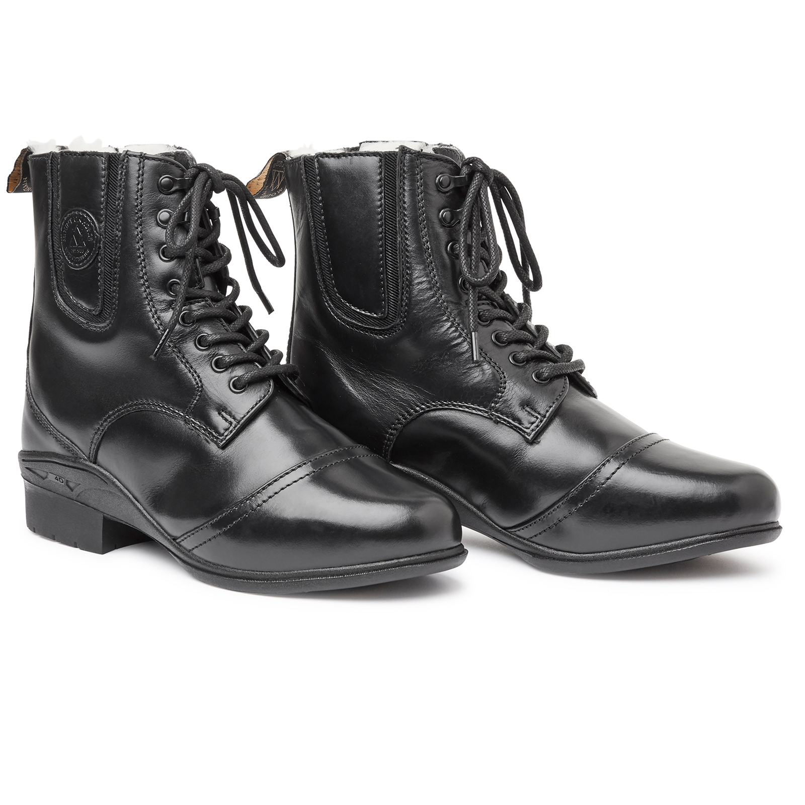 Zimowy wybieg dla koni górskich Aurora