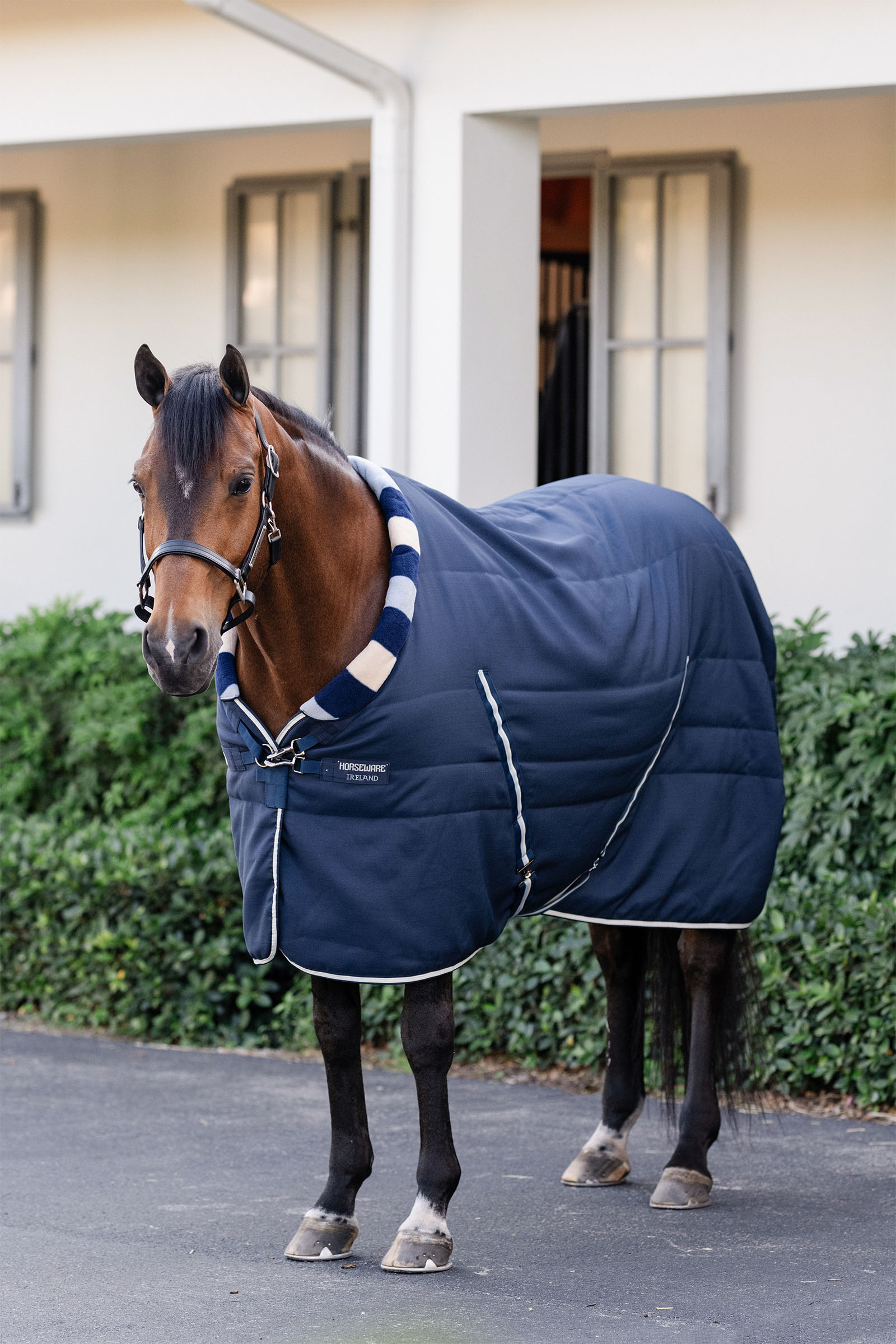 Horseware Newmarket Cosy Derka stajenna 100g