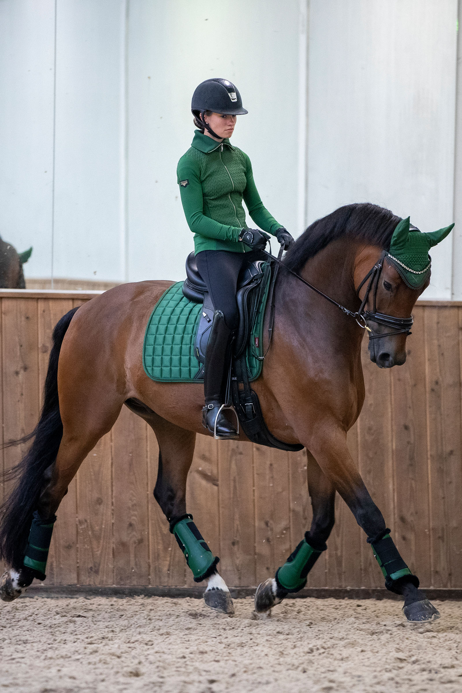 LeMieux Loire Classic czaprak ujeżdżeniowy