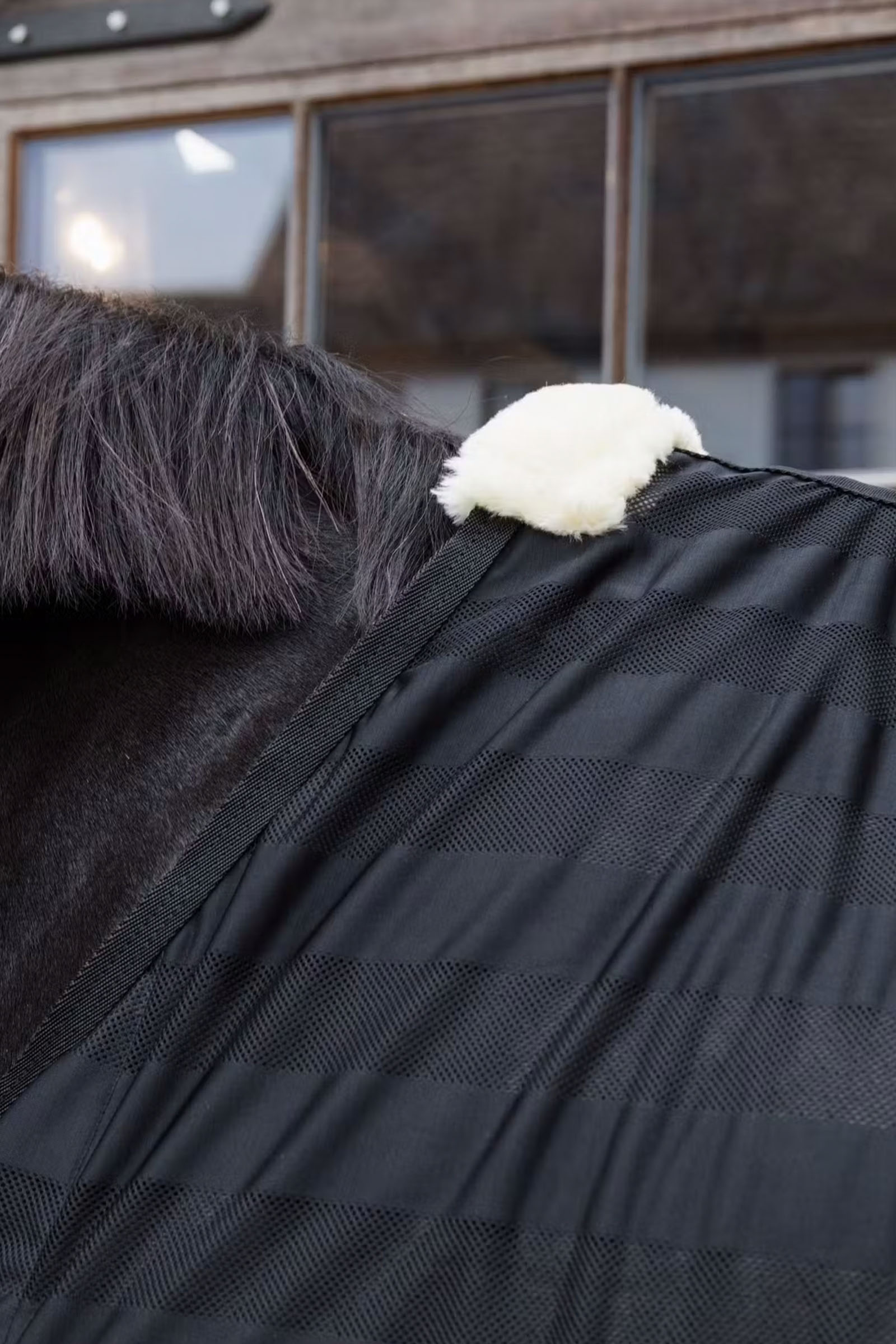 Kentucky Horsewear lekka, paskowana derka przeciw owadom z siateczki