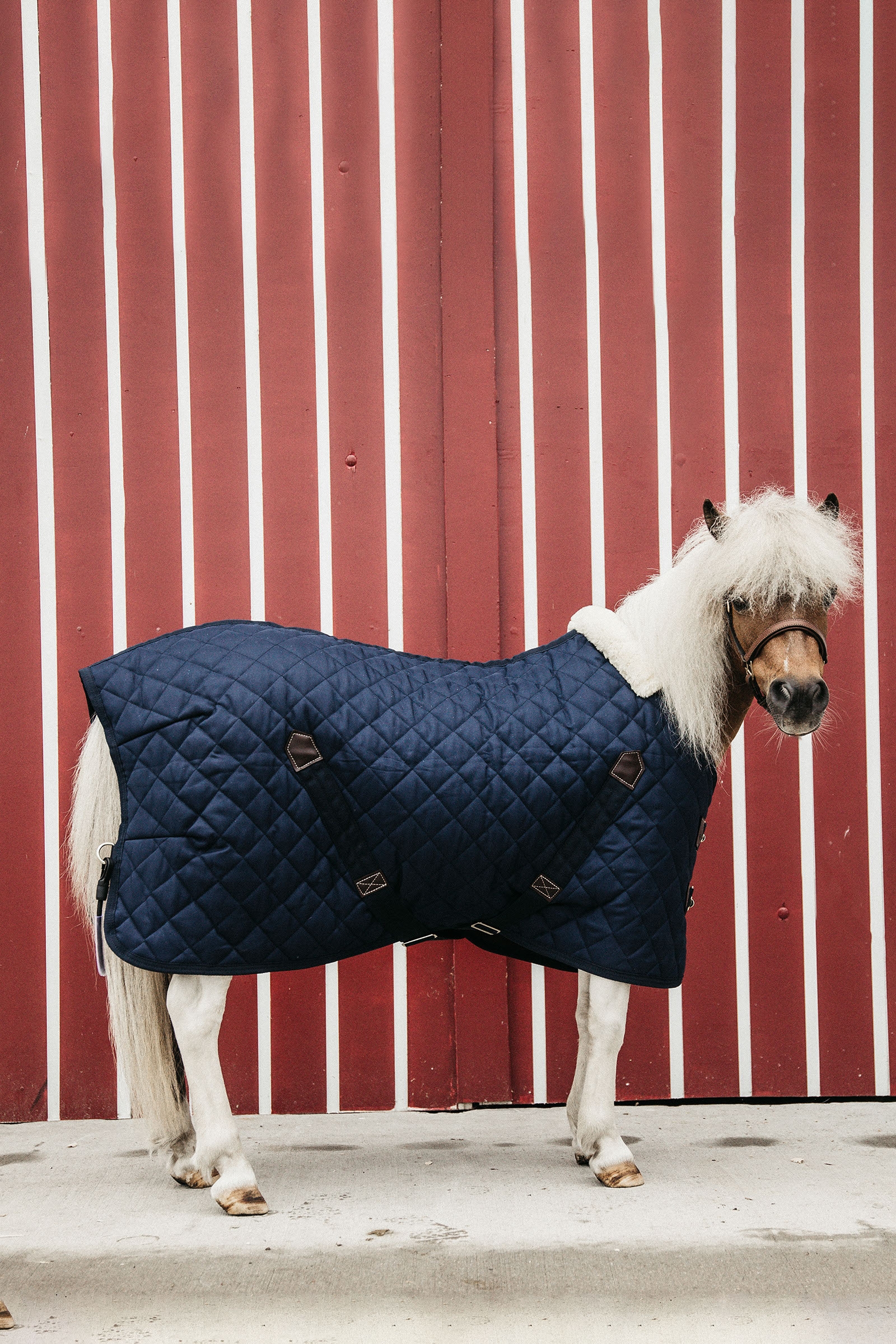 Kentucky Horsewear derka stajenna 400g