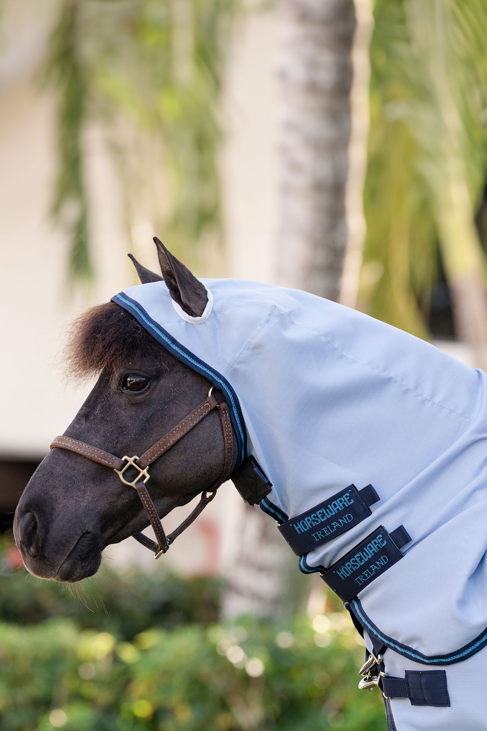 Horseware Amigo Ripstop Hoody Petite, koc na muchy
