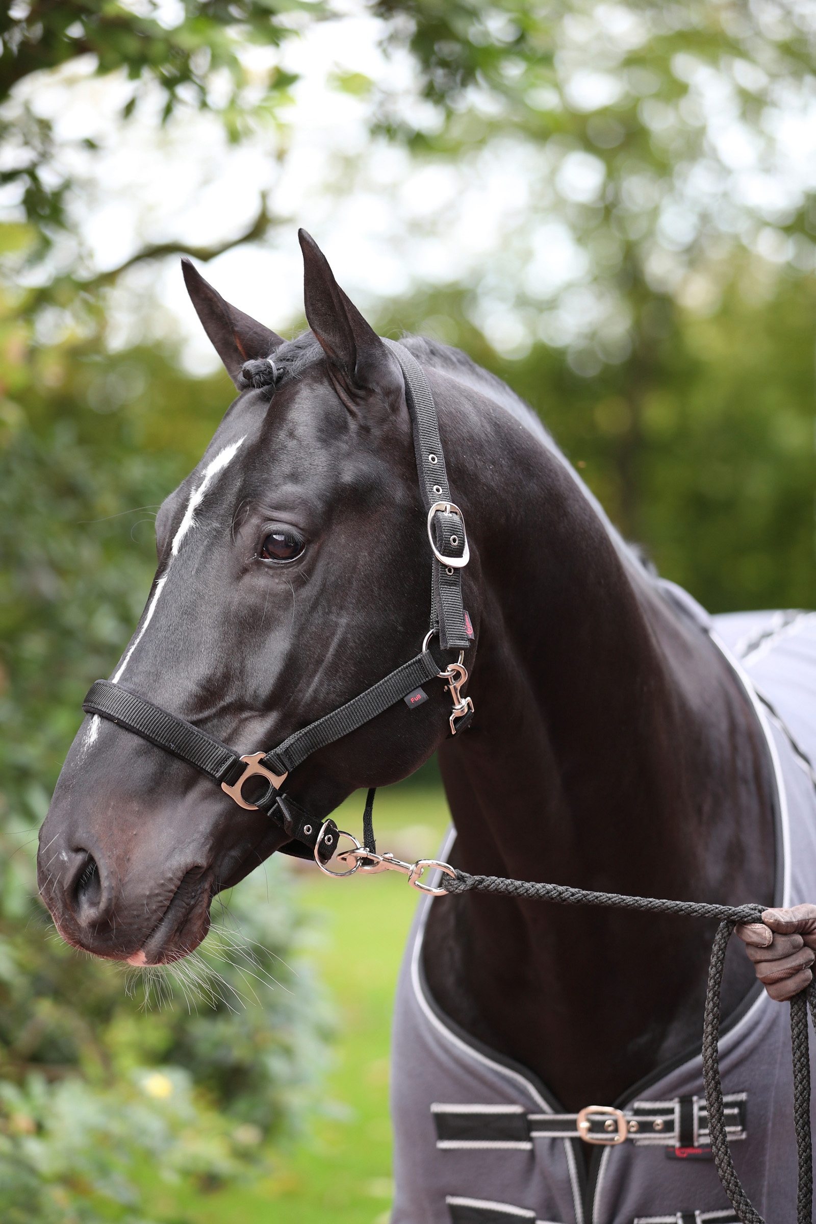 Covalliero Dexter Kantar z polarowym podszyciem