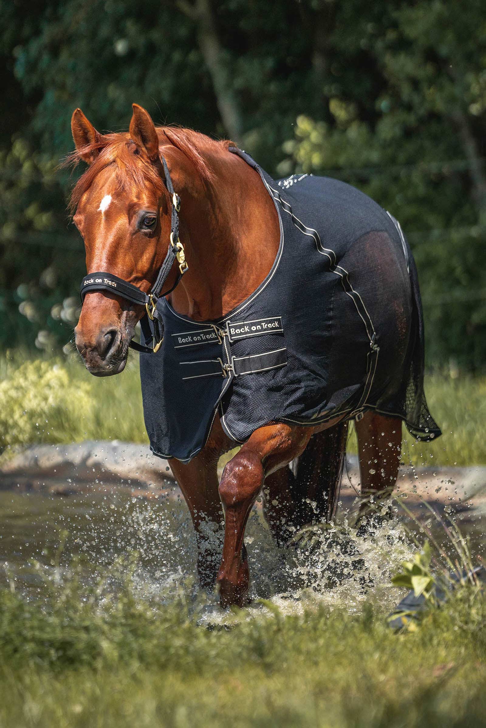 Back on Track derka osuszająca Sienna