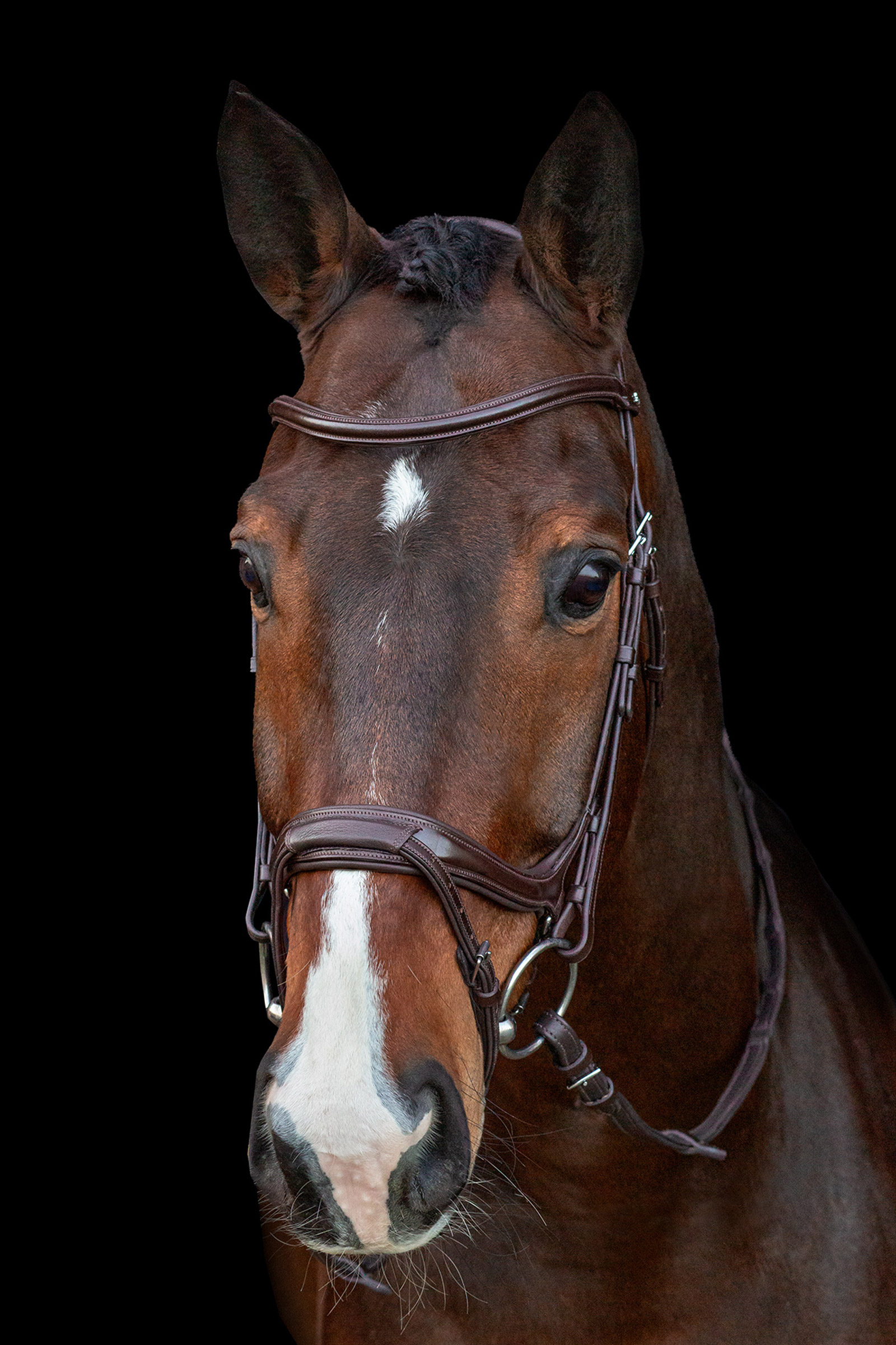 Schockemöhle Sports Ancona Select Wędzidło