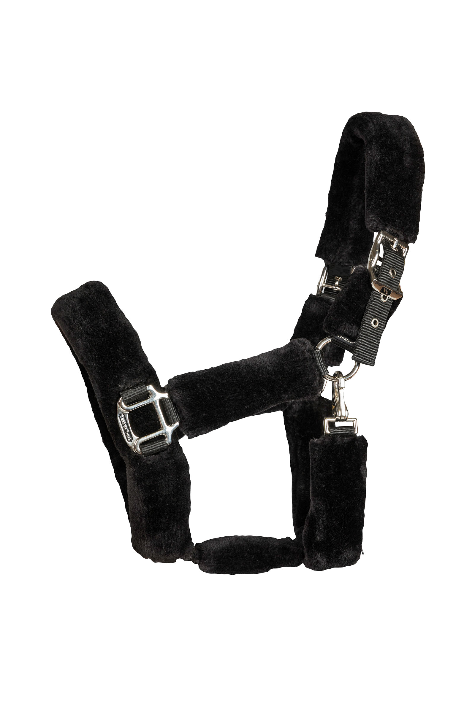 Back on Track Audrey kantar