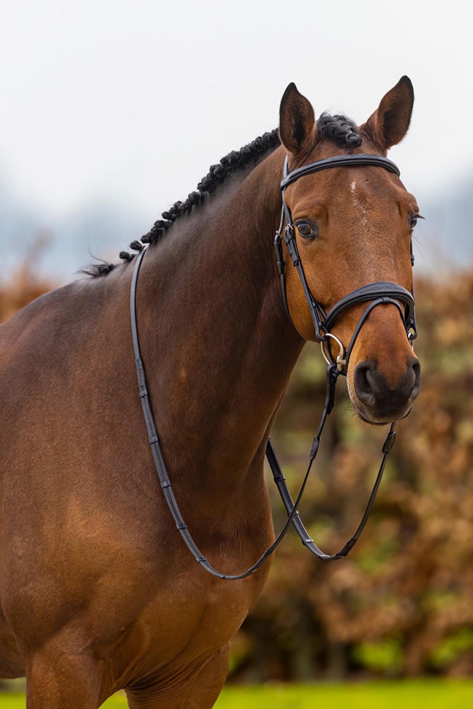 Trust Equestrian Amsterdam Combined Noseband Anatomic Bridle