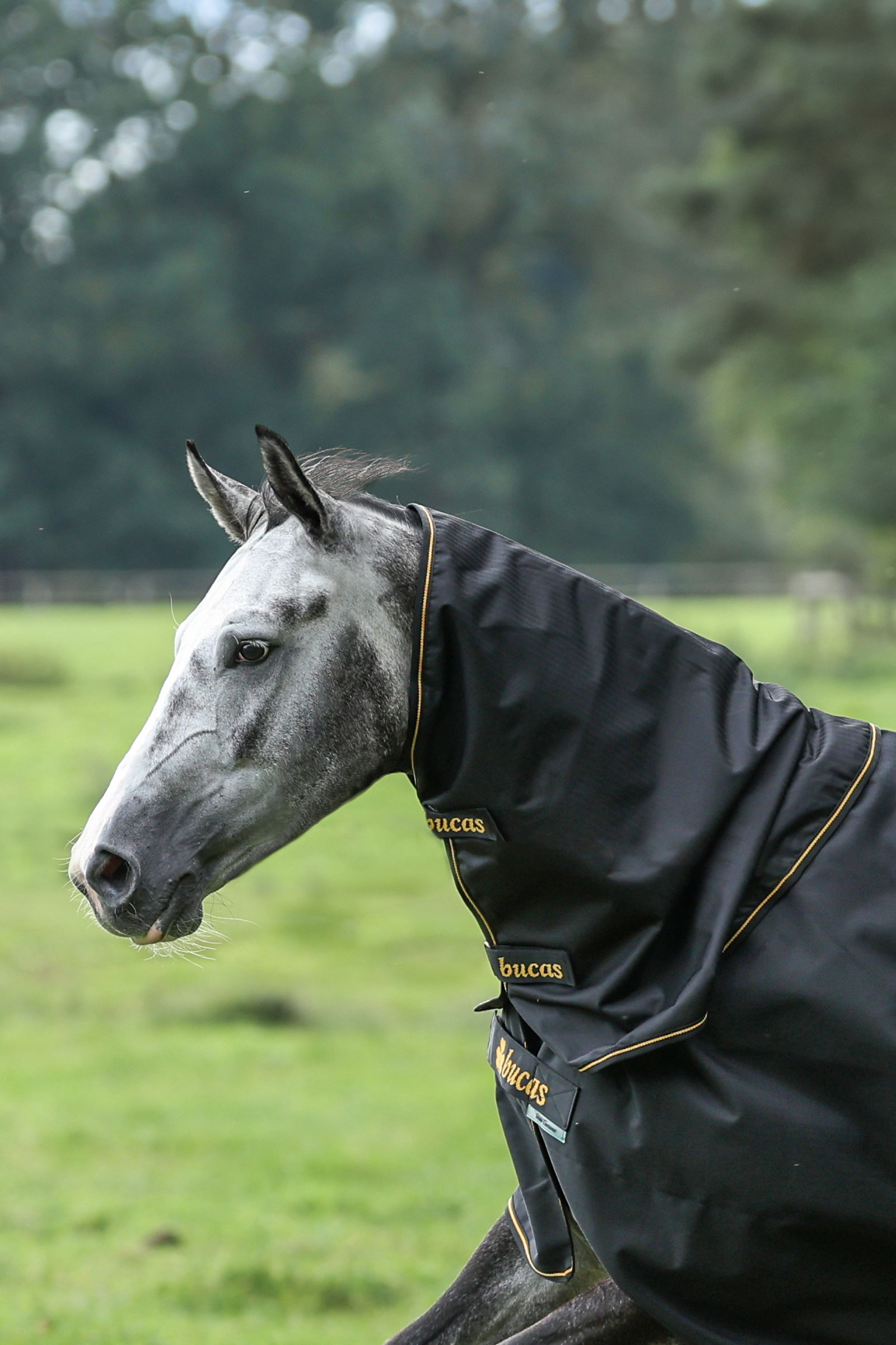 Bucas Irish Turnout szyjnik, 0g