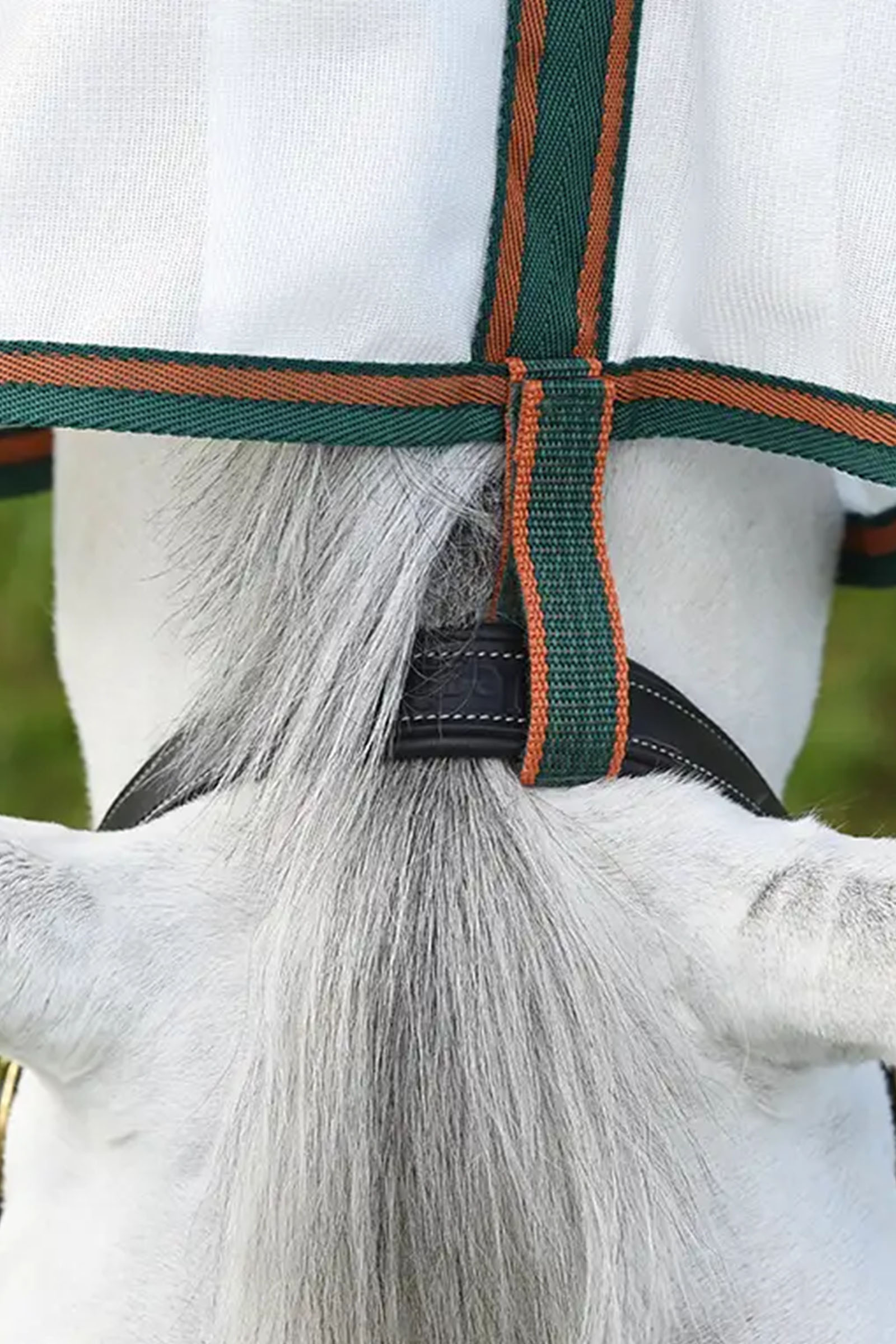 Weatherbeeta Comfitec Tyro derka siatkowa z częścią szyjną