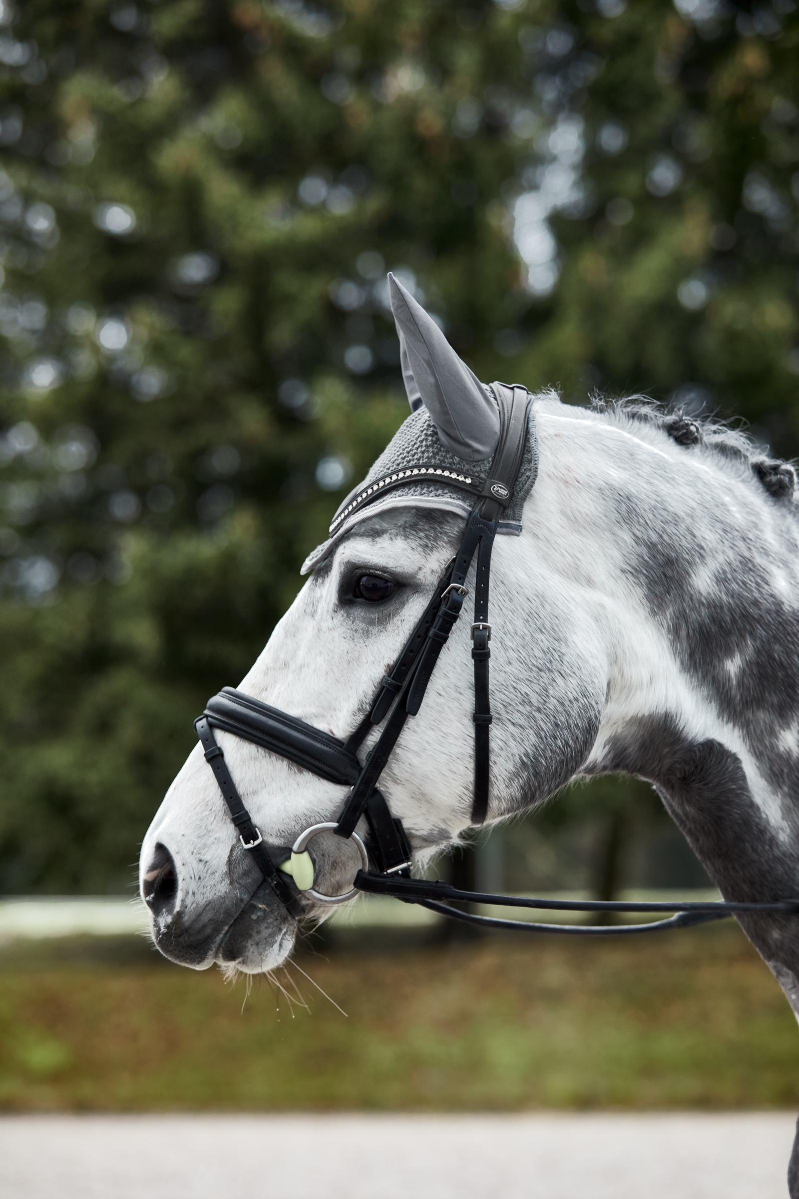 Nauszniki Horze Adepto