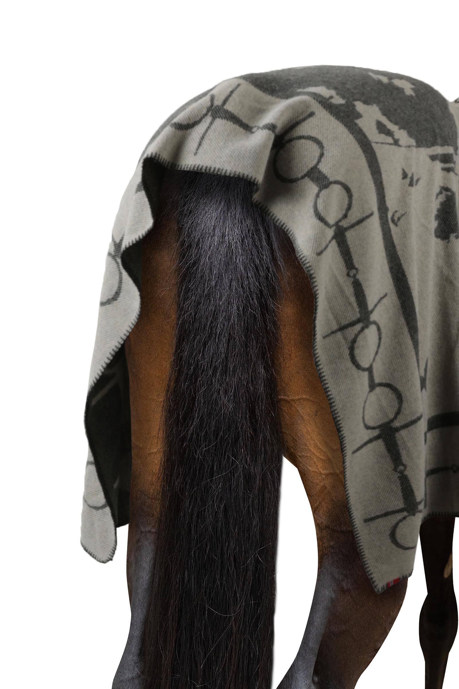 B Vertigo Koc z nadrukiem konia i wędzidła