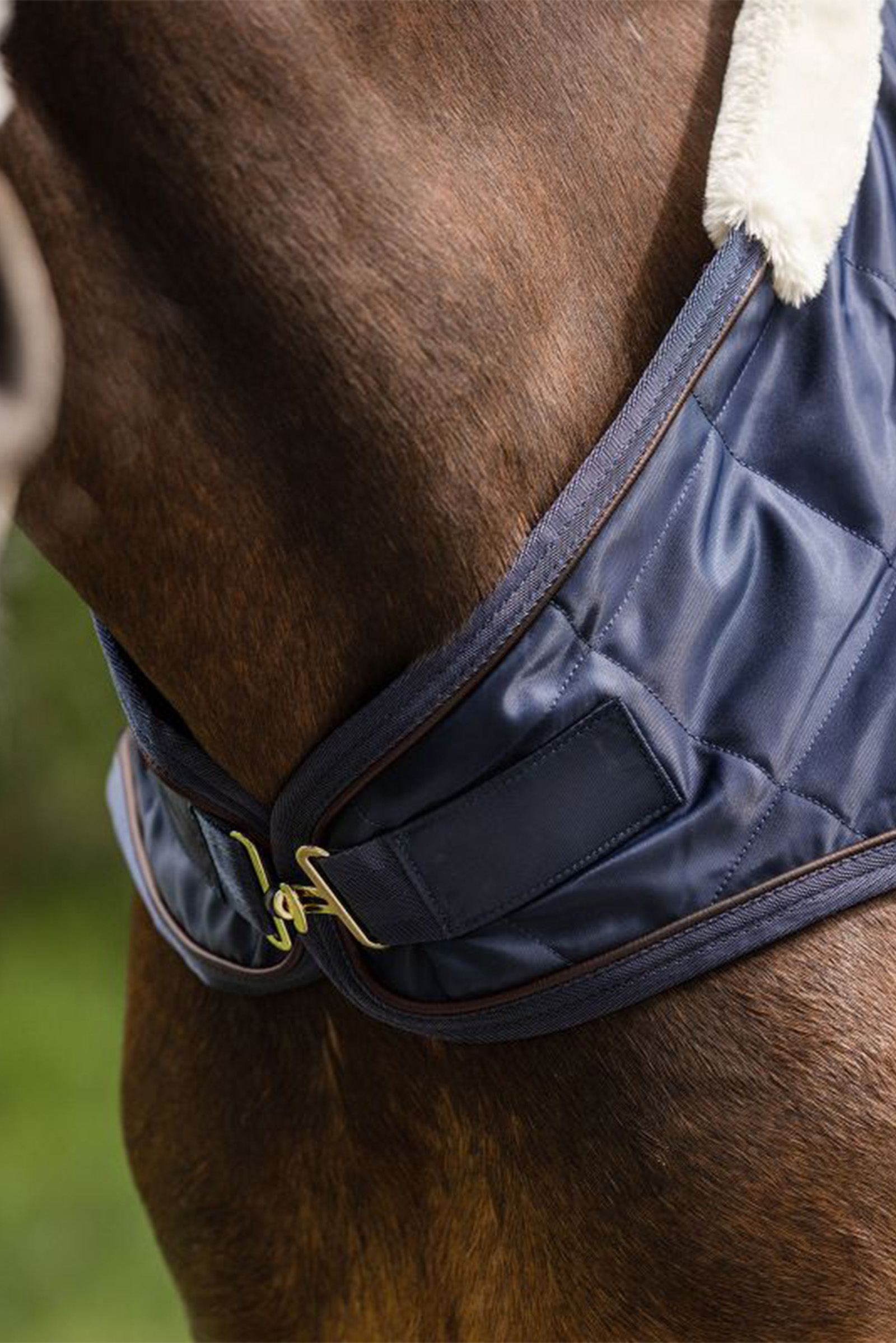 Waldhausen Exclusive Płachta na maszynę do prowadzenia koni, 50 g