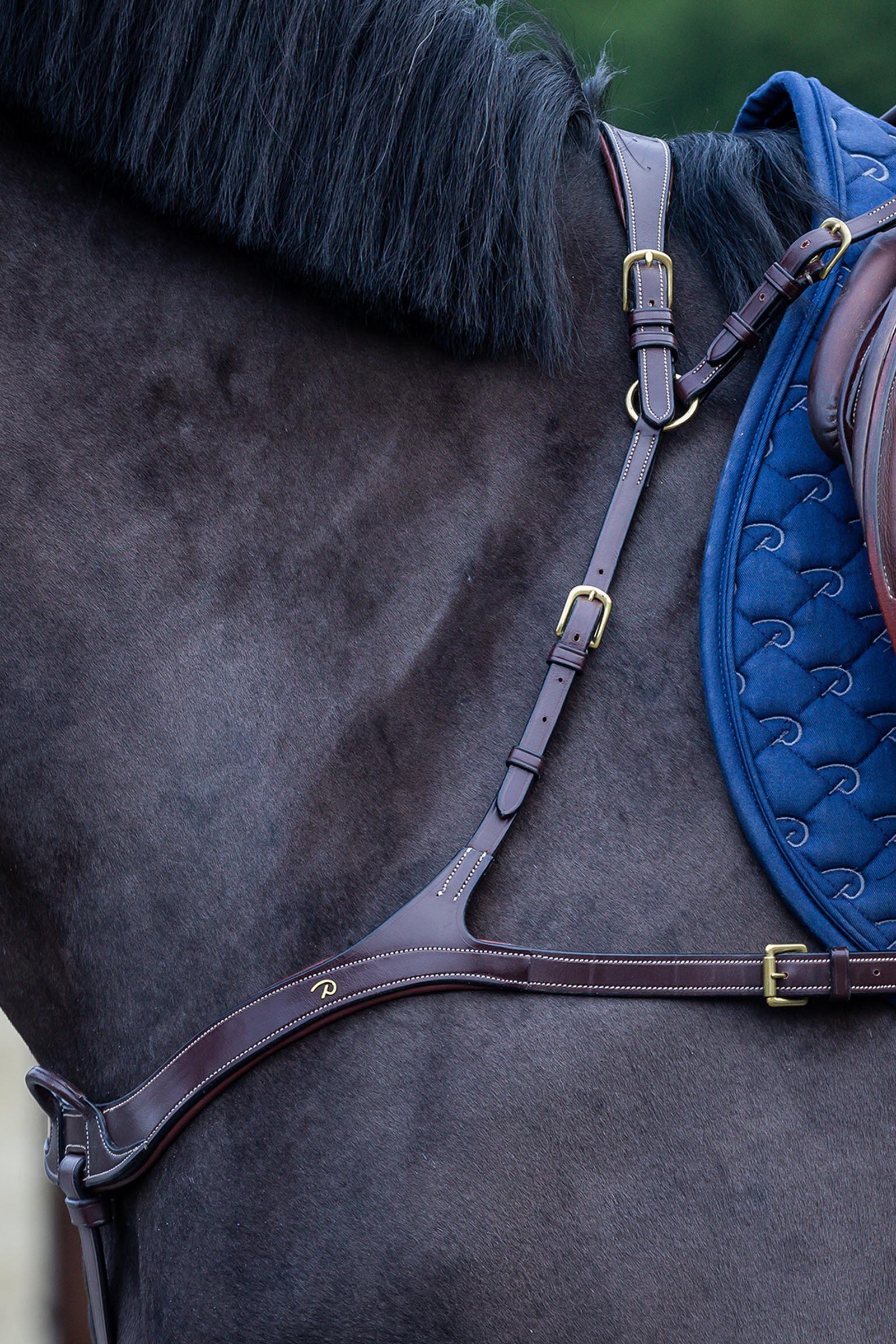 Dy'on D Collection anatomiczny napierśnik