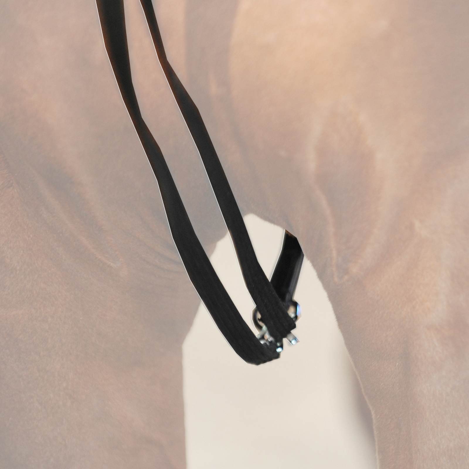 Kavalkade Webbed draw reins with leather loop