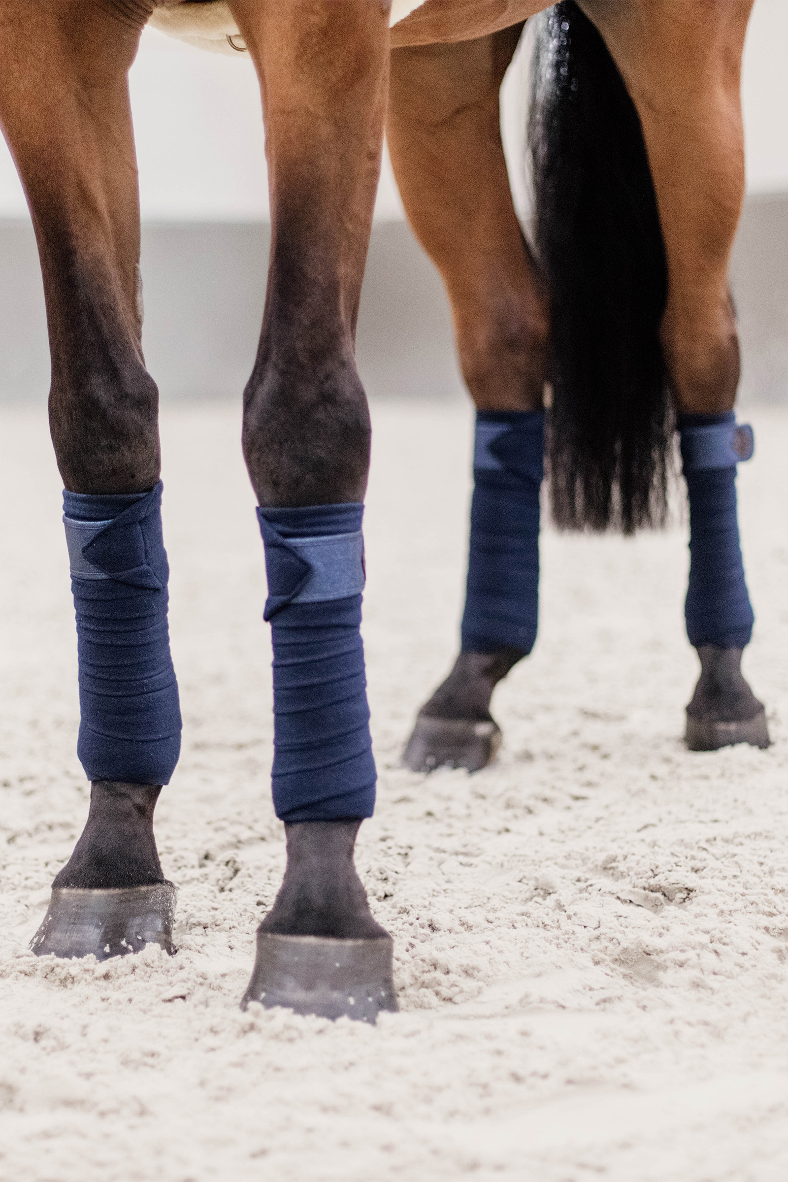 Brokatowe polarowe koszulki polo Kentucky Horsewear