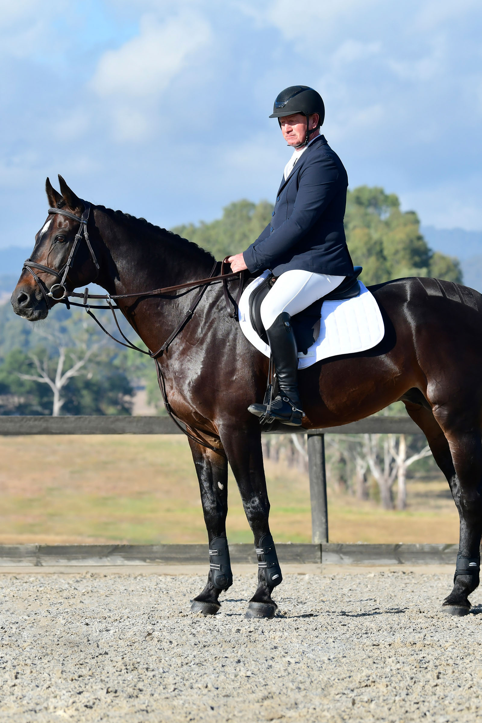 Collegiate Comfitec Opulux Fancy Stitch wyściełany nachrapnik hanowerski