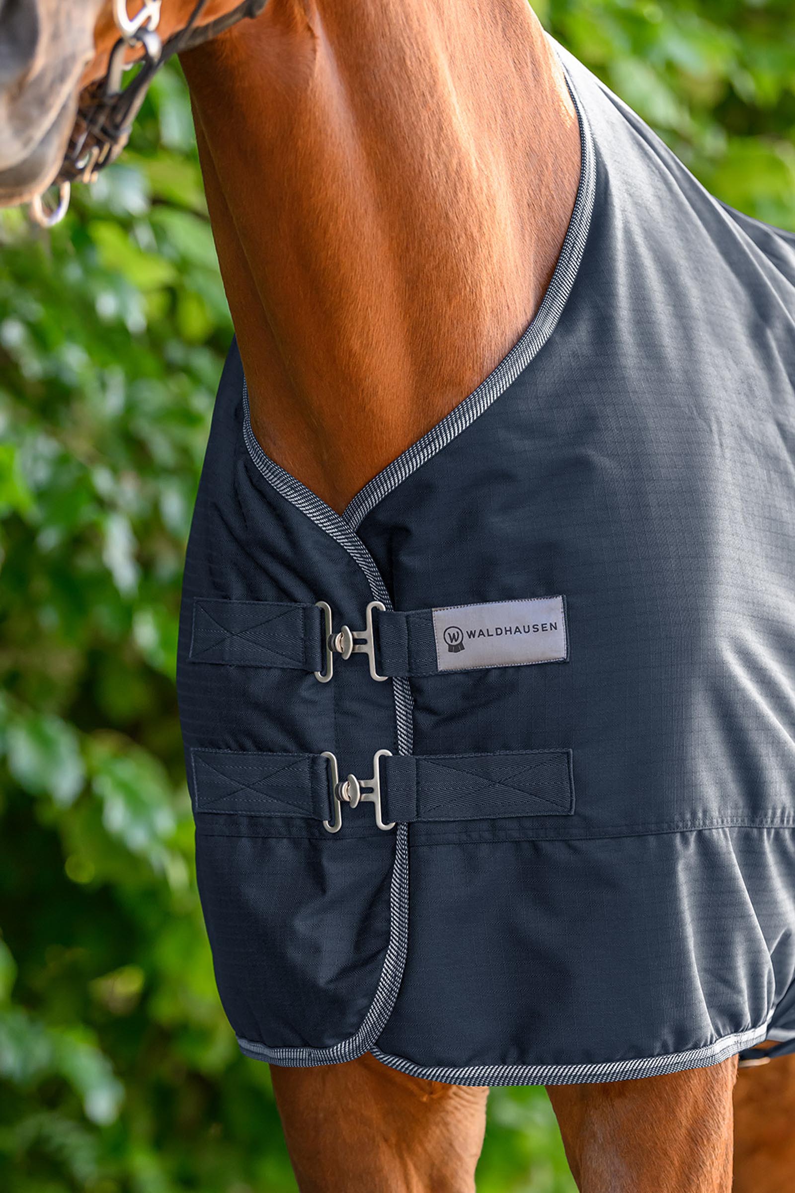 Waldhausen ECONOMIC lekka derka padokowa