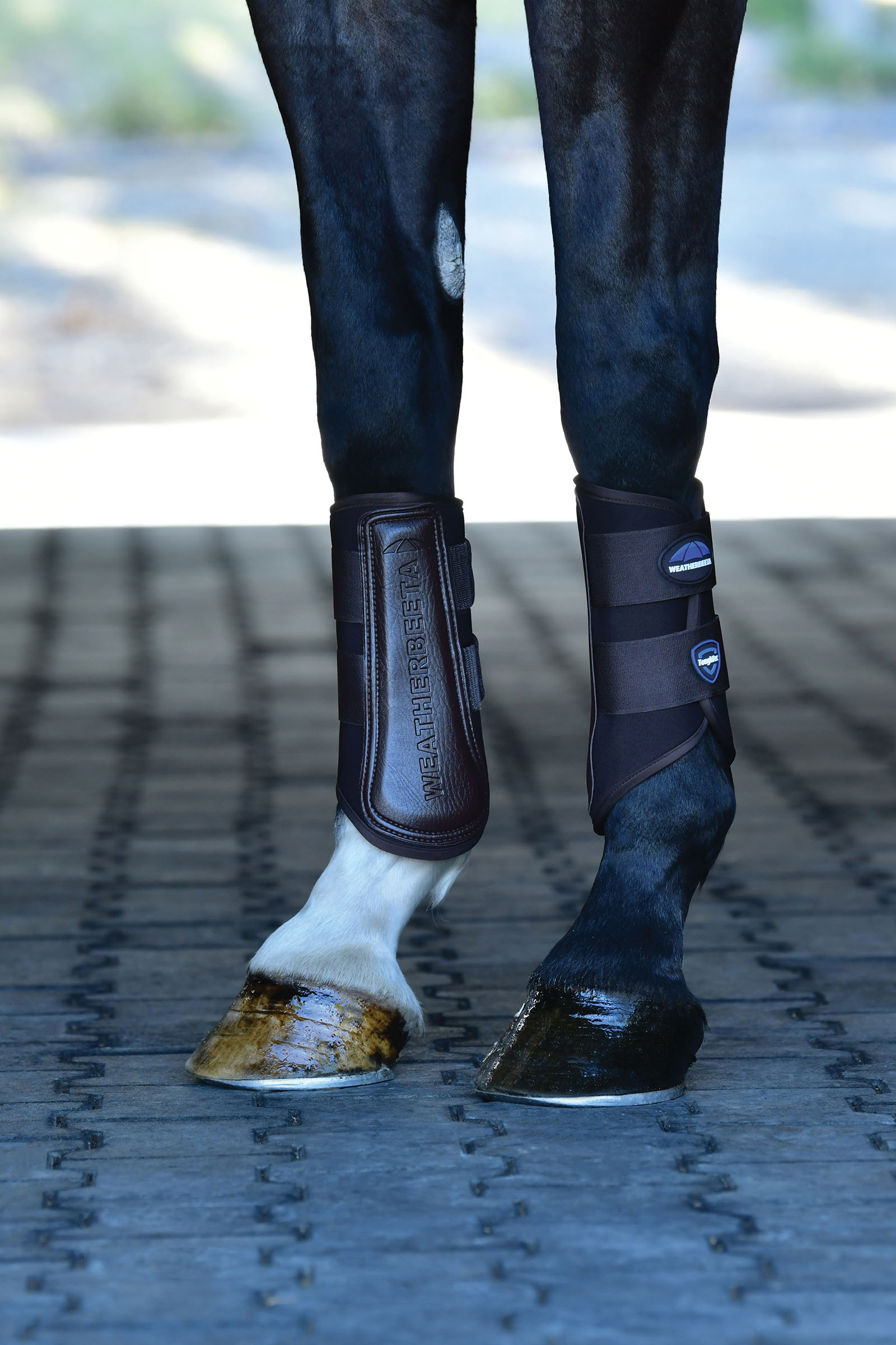 Weatherbeeta Tough-Tec Prime Ochraniacze ujeżdżeniowe