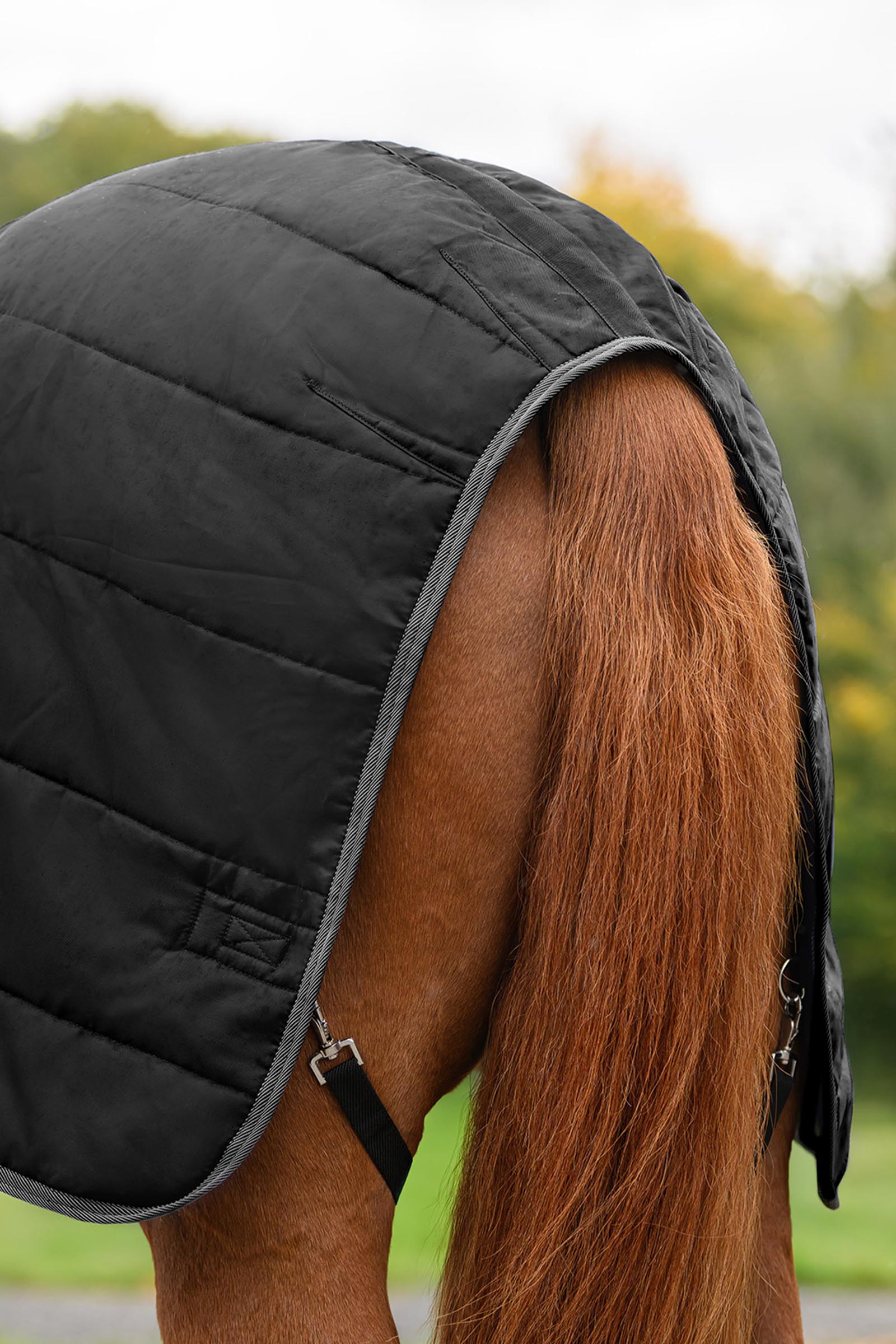 Waldhausen ECONOMIC derka stajenna, 100g