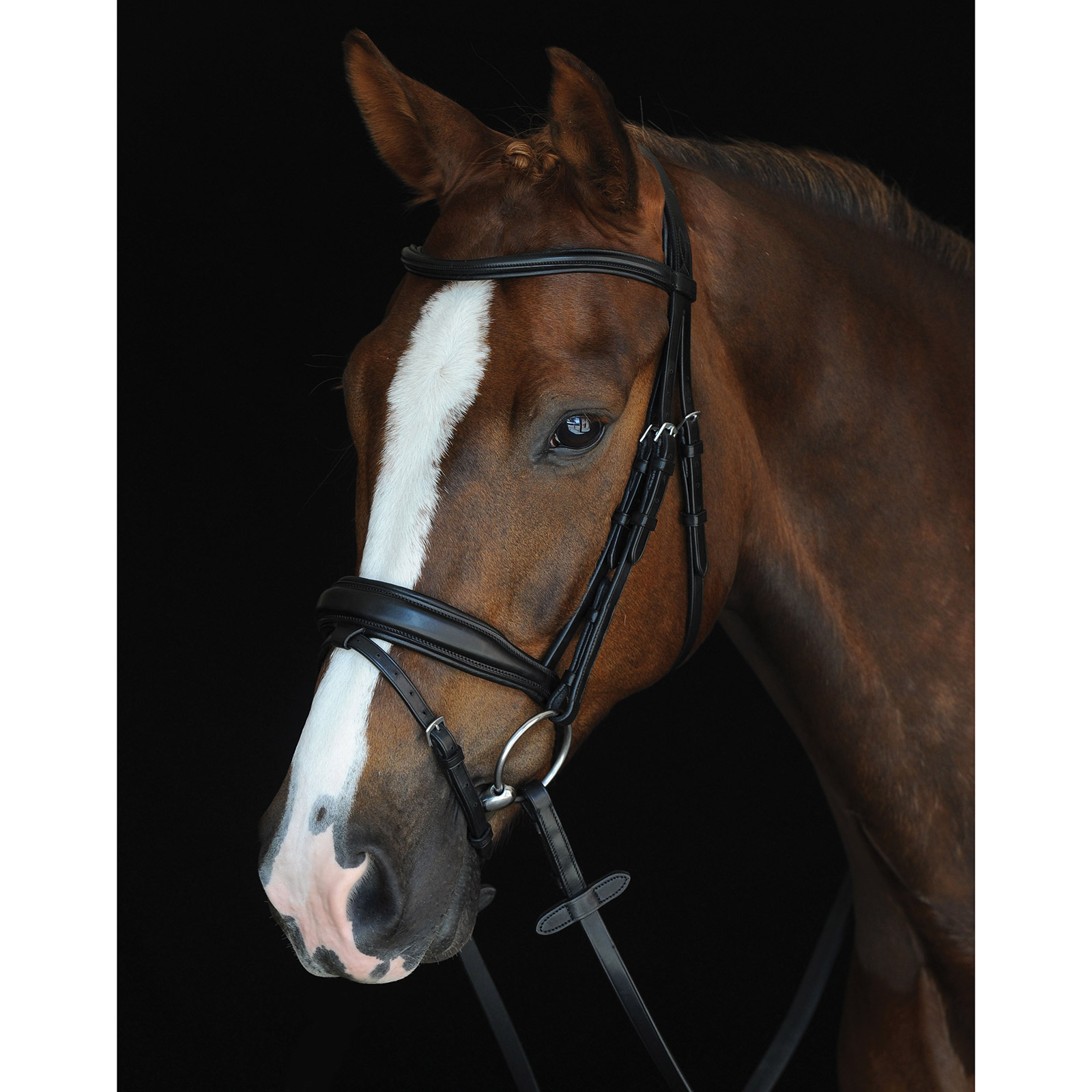 Collegiate Mono Crown Padded Raised Flash Bridle