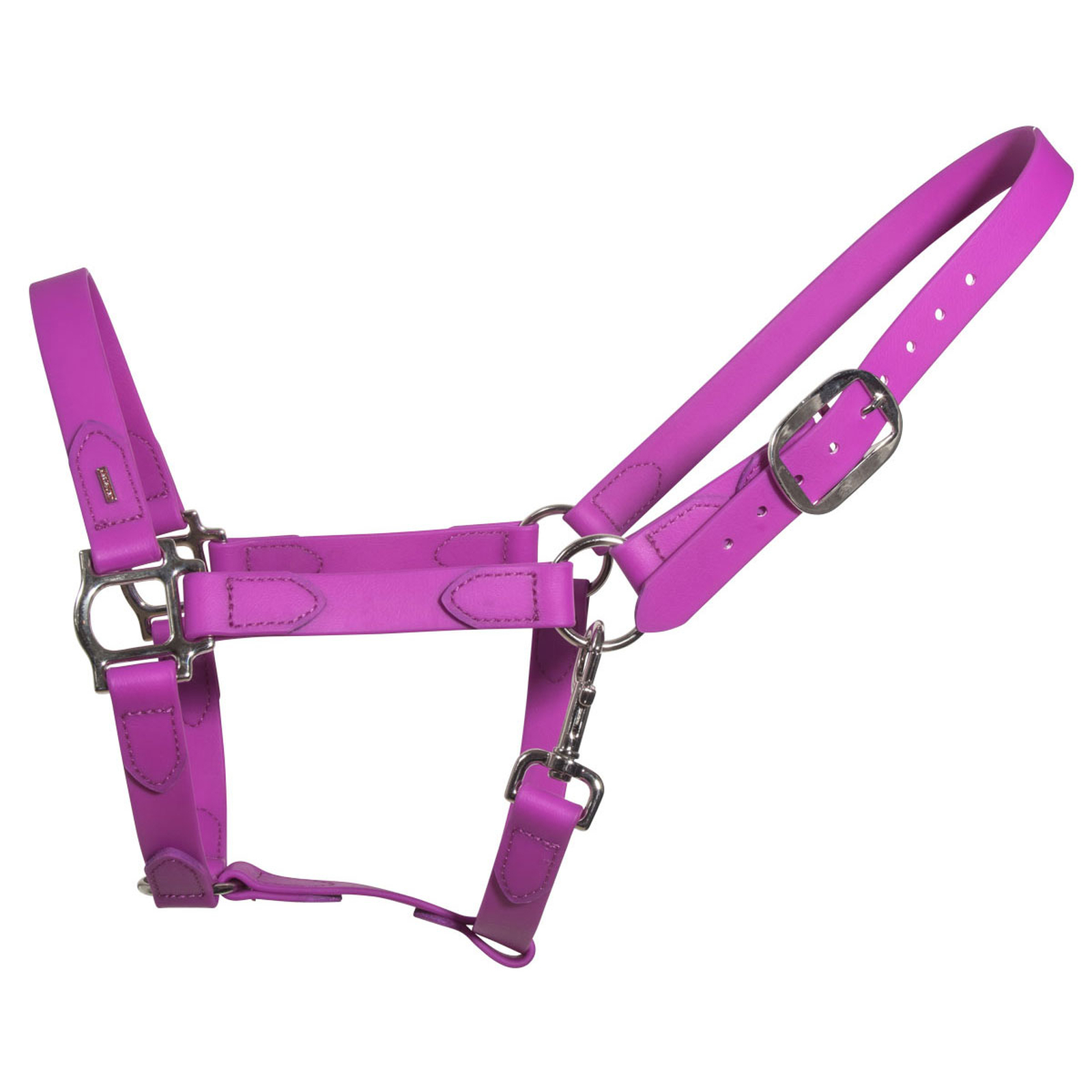 Purple/Chrome Kantar Karlslund SuperStrap