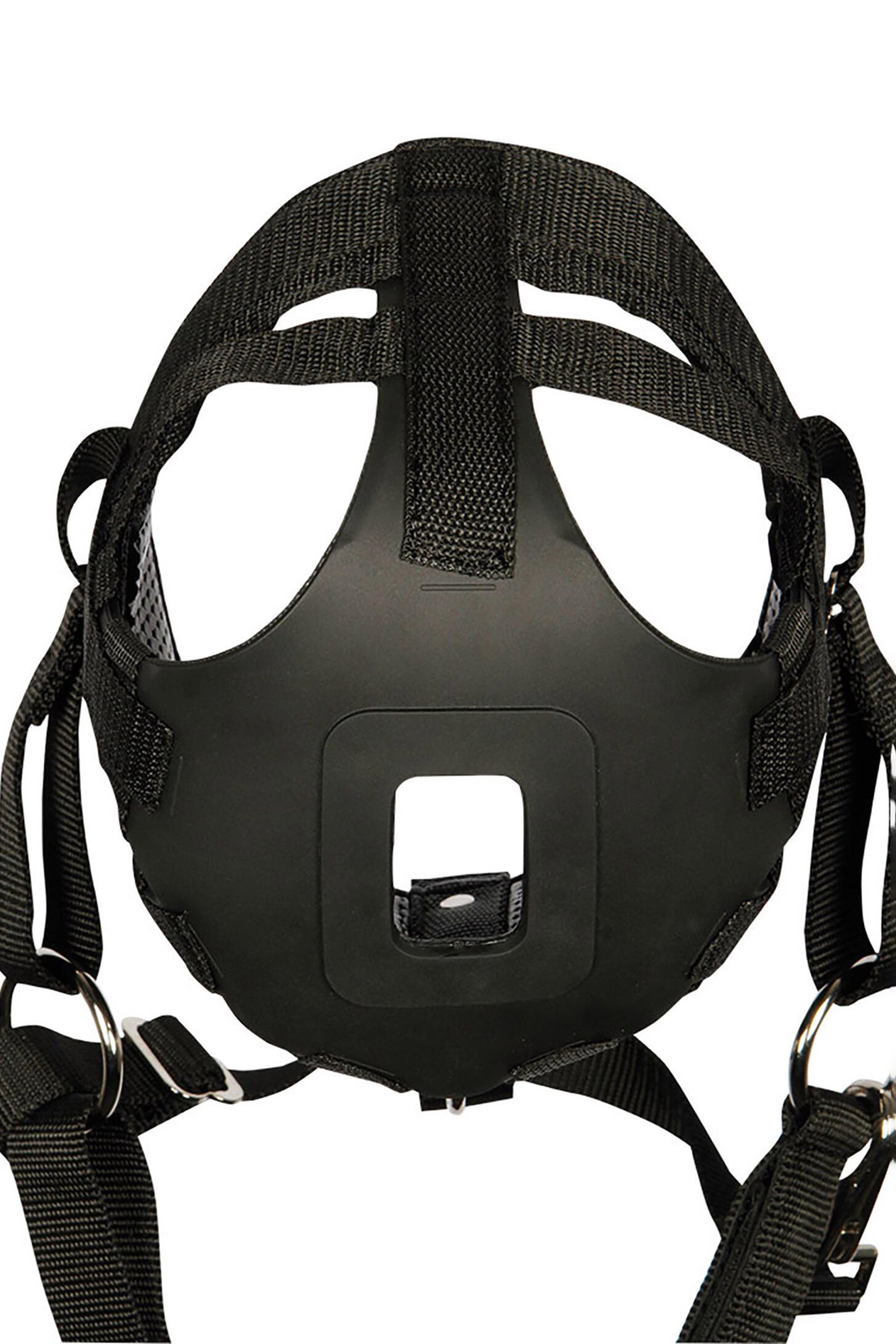 Harry's Horse Grazing kaganiec Powietrze