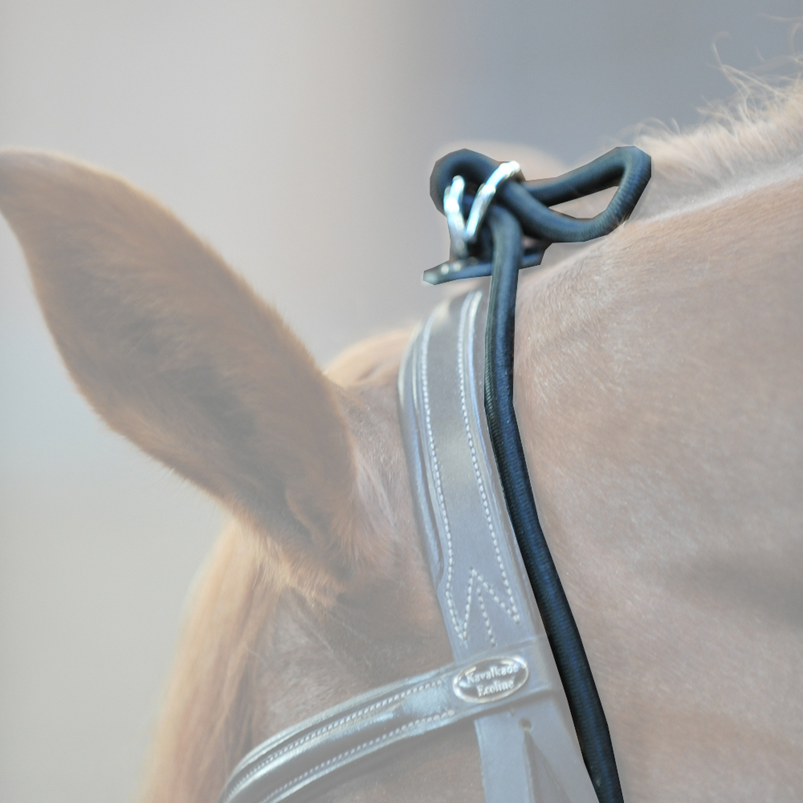 Bungie Kavalkade, elastyczne