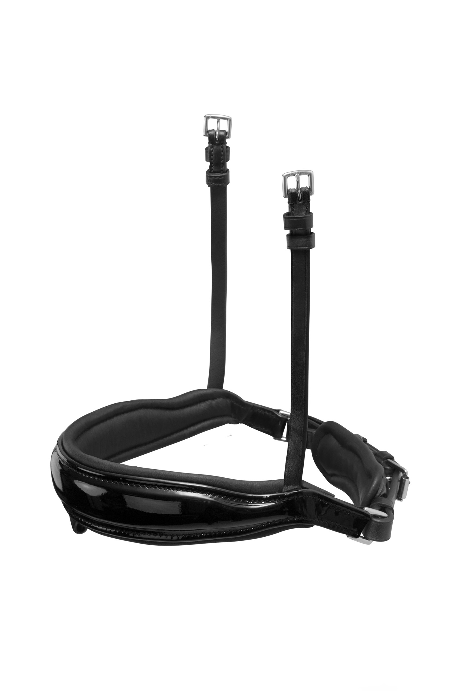 Nachrapnik Schockemöhle Sports Stanford