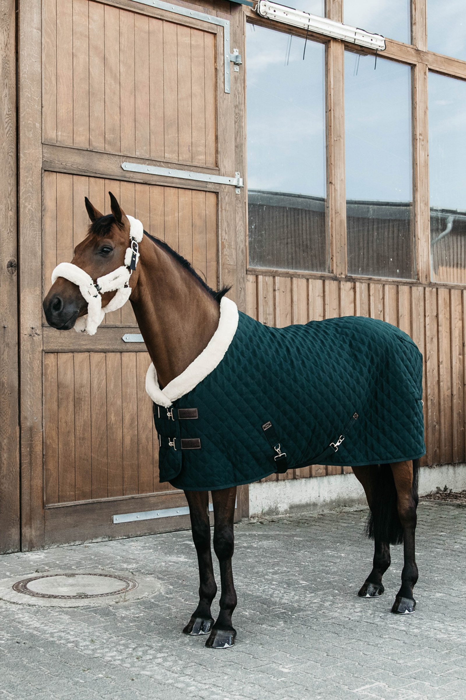 Derka na zawody Kentucky Horsewear 160g