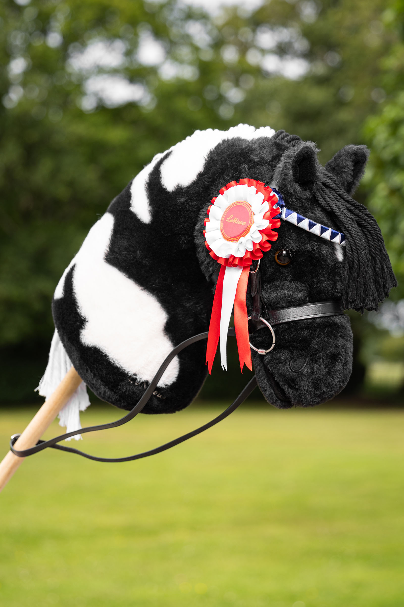 LeMieux Hobby Horse zestaw rozet