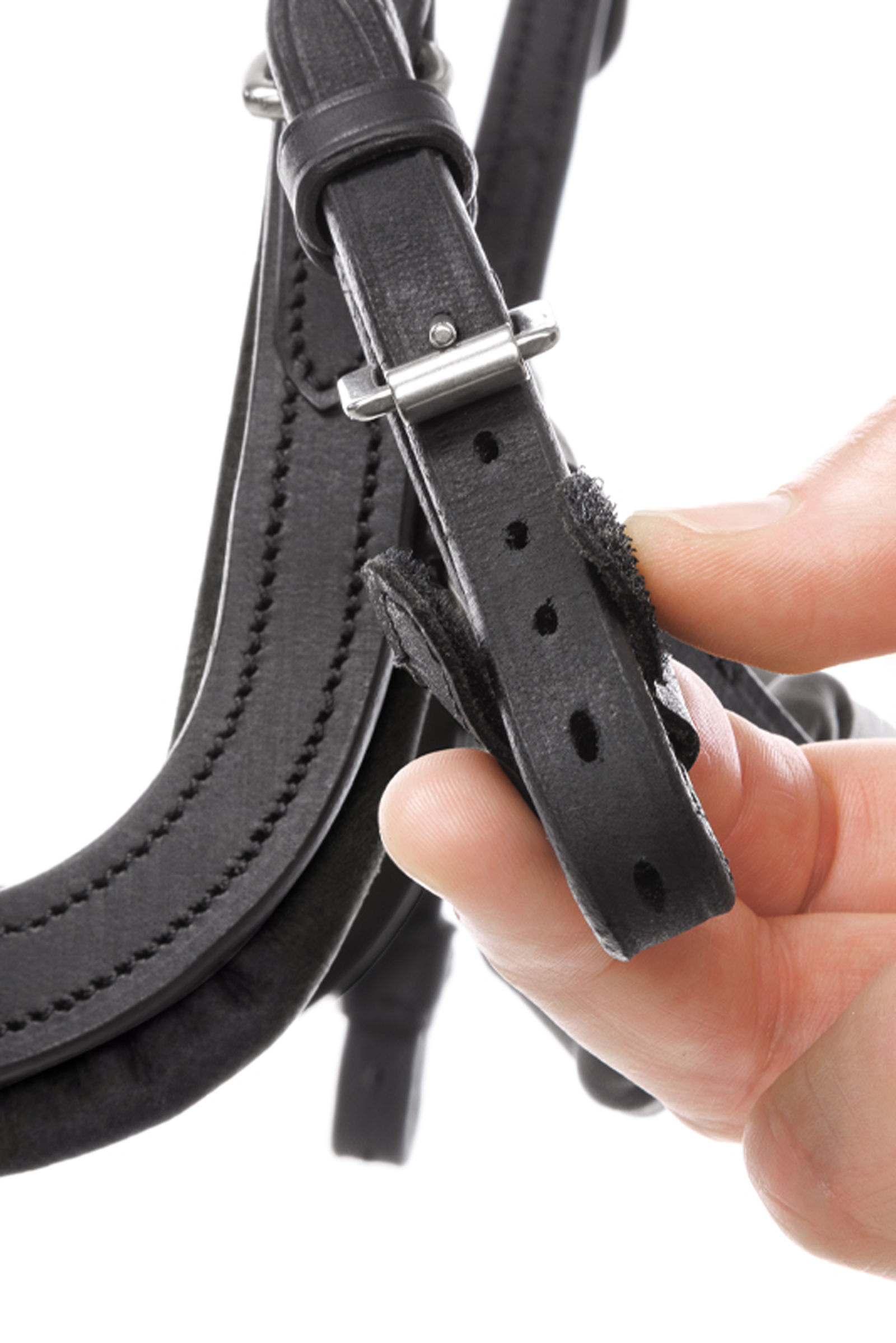 Kavalkade Caliano Angielska Trense