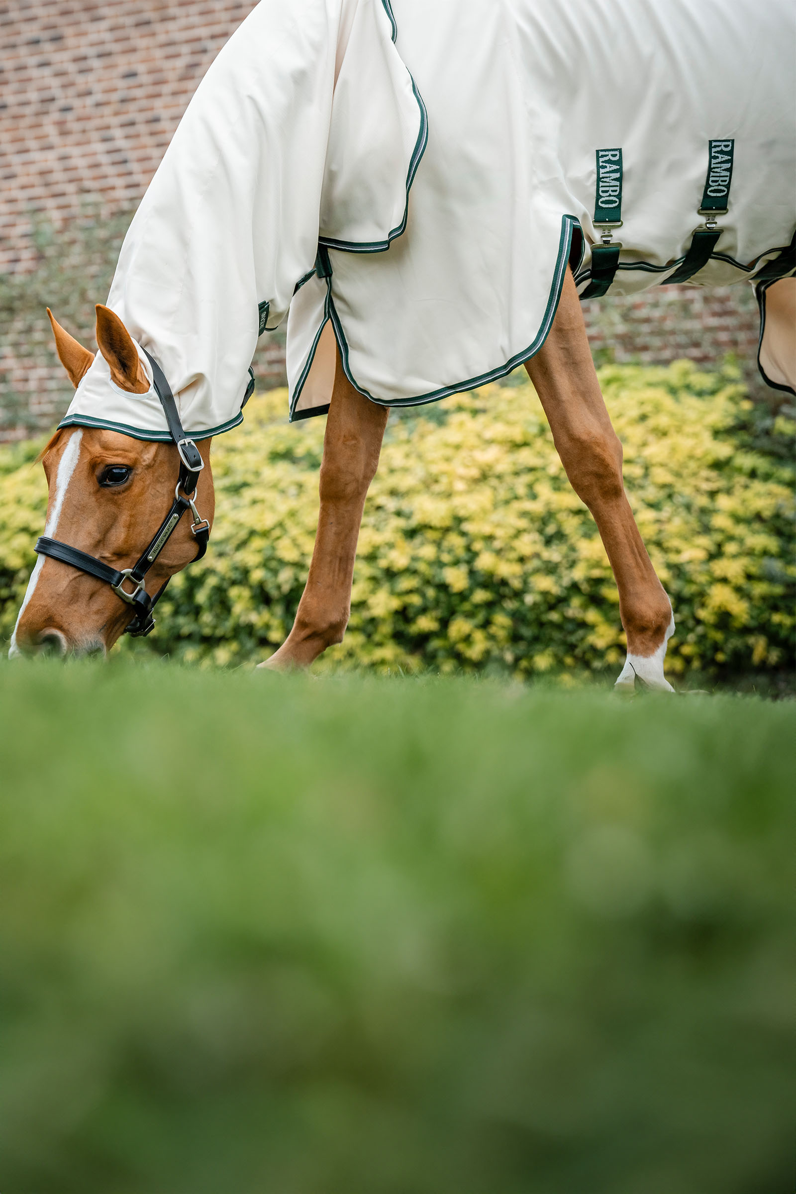 Horseware Rambo Derka z kapturem