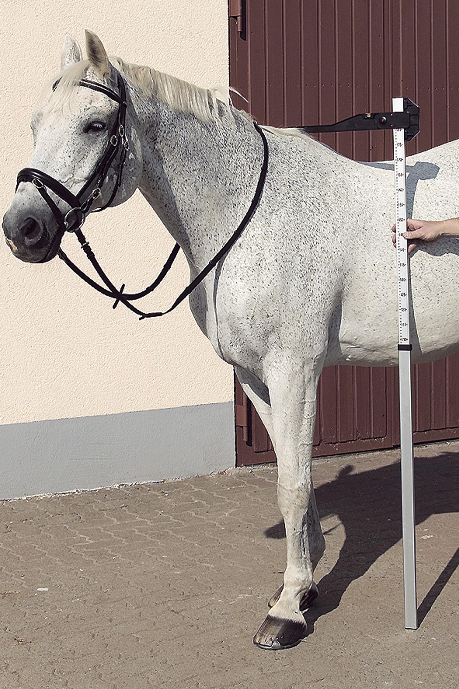 USG DLX aluminiowa miarka wzrostu