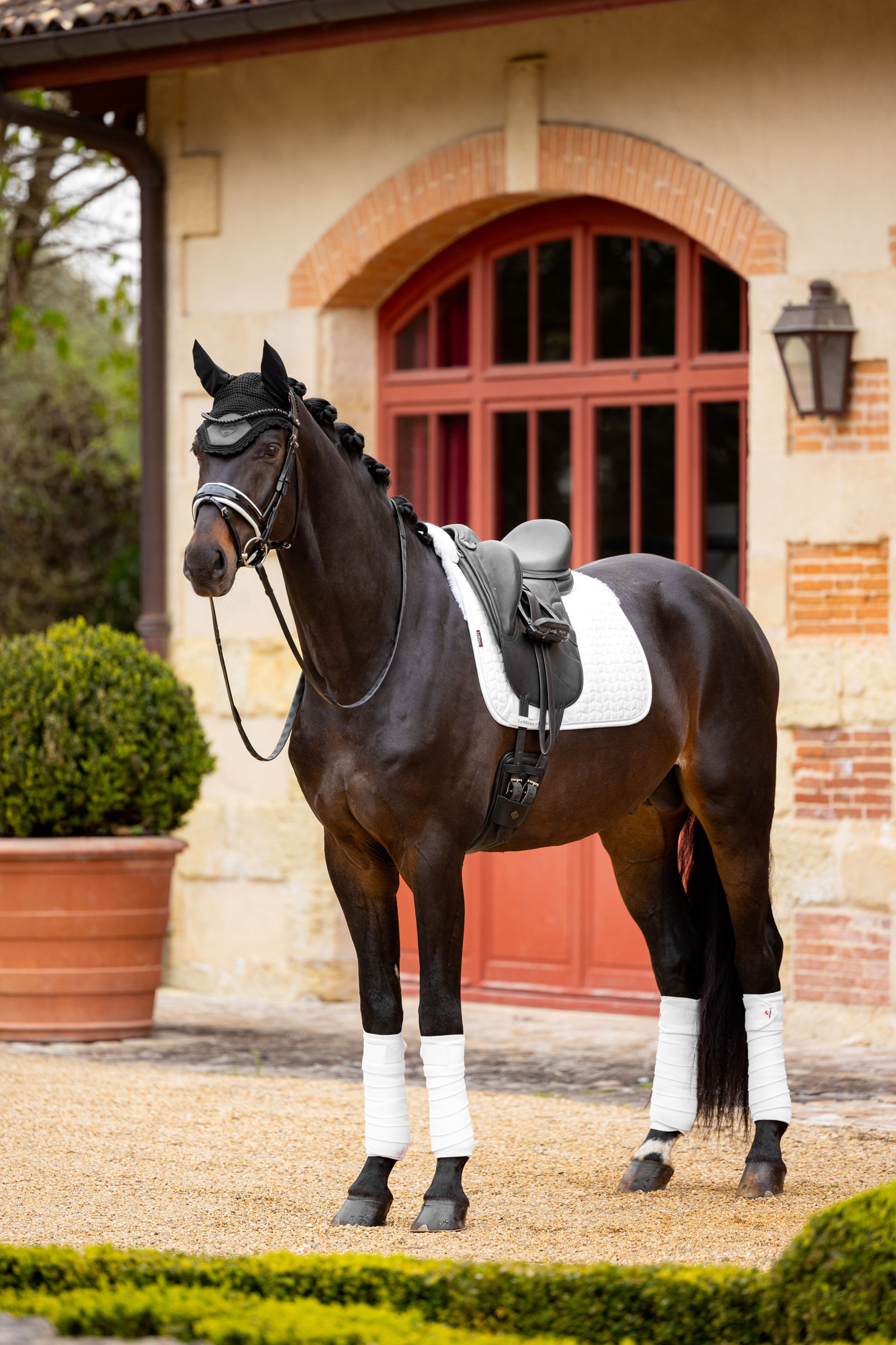 LeMieux Merino+ Czaprak Ujeżdżeniowy z efektem zamszu, p&oacute;ł podszewką