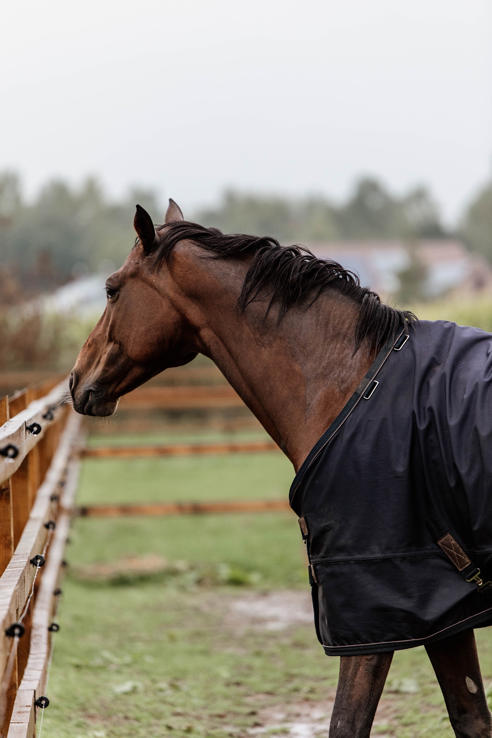 Derka Kentucky Horsewear Turnout na każdą pogodę, 300 g