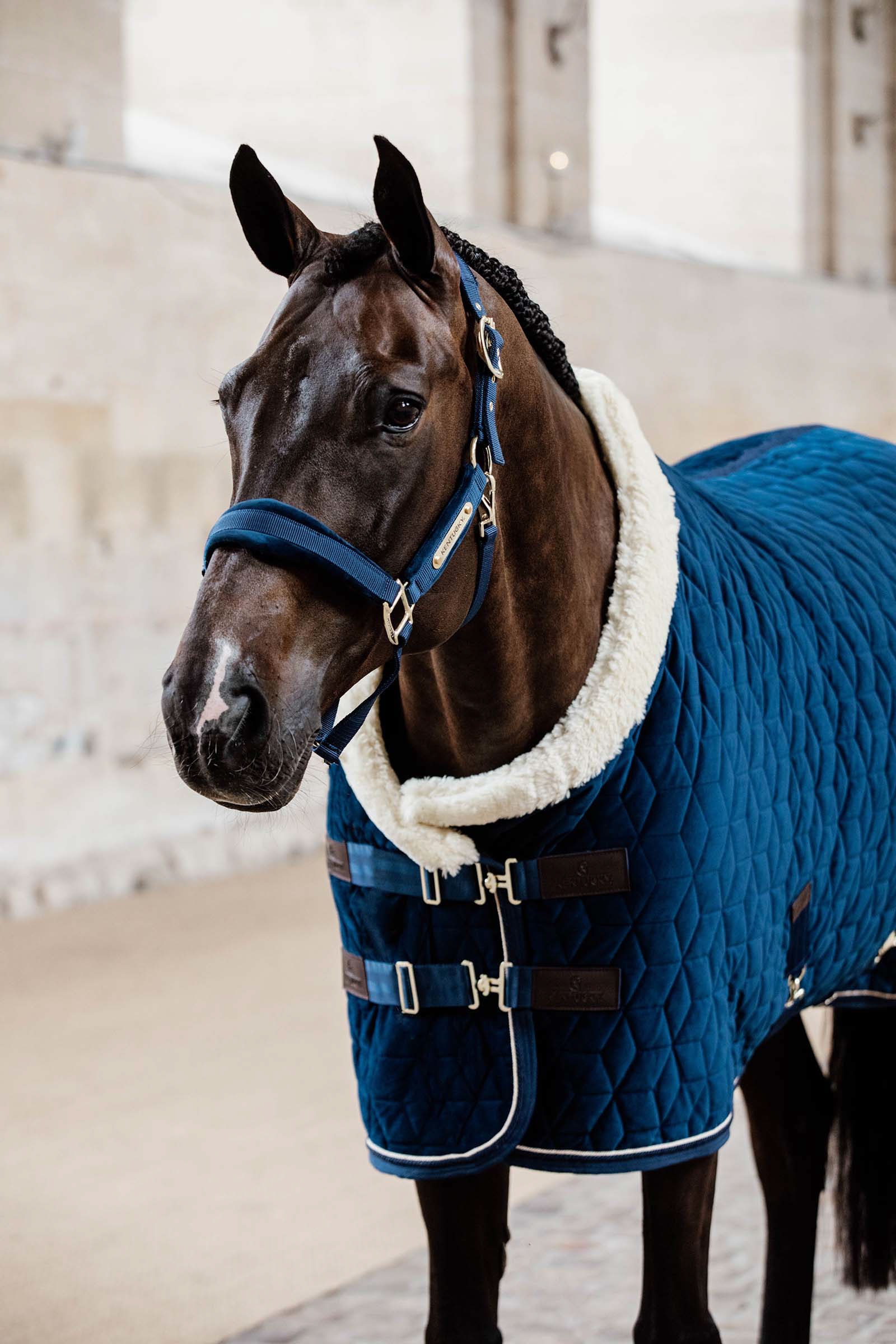 Kentucky Horsewear Aksamitny kKantar