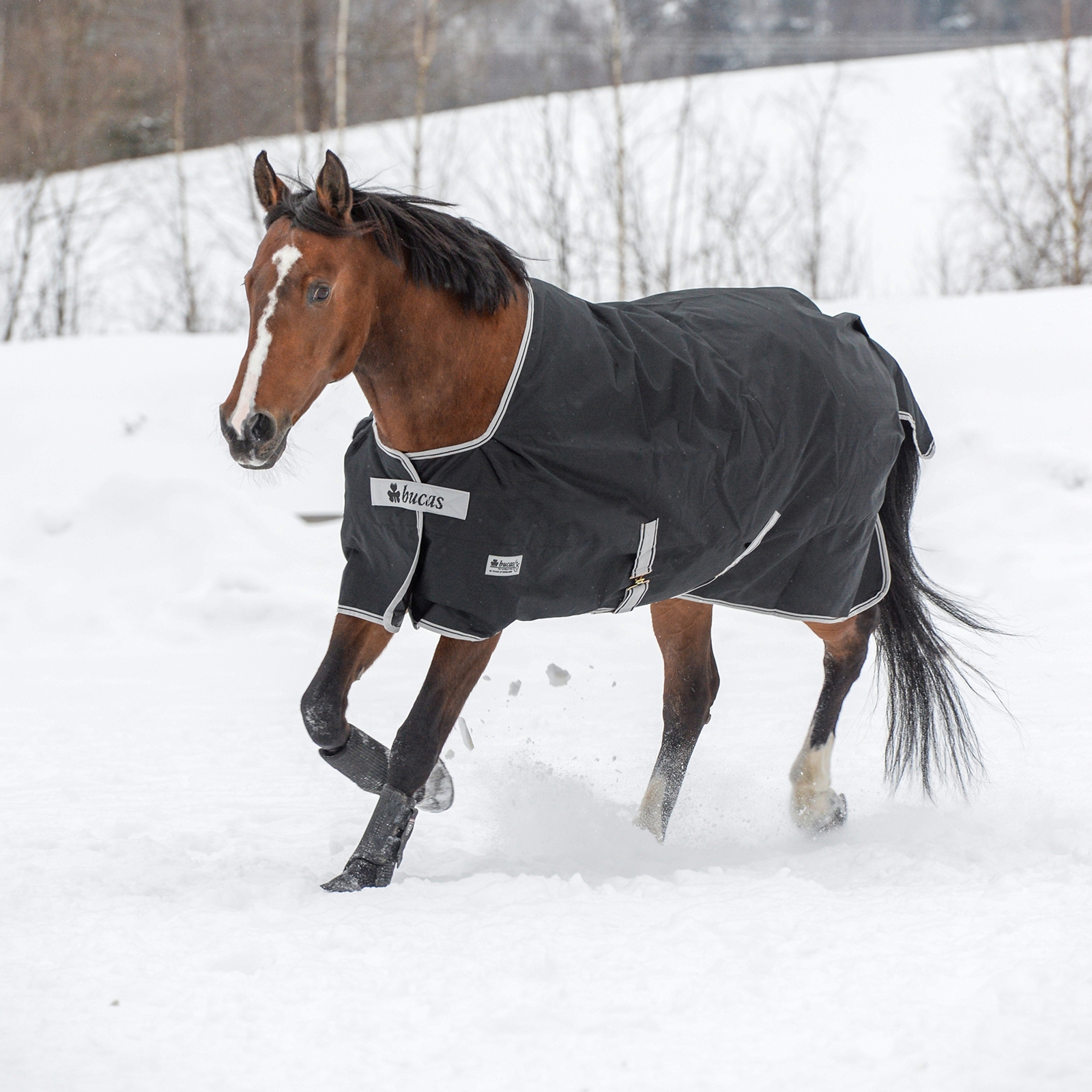 Bucas Anniversary SD lekka derka padokowa, 150 g