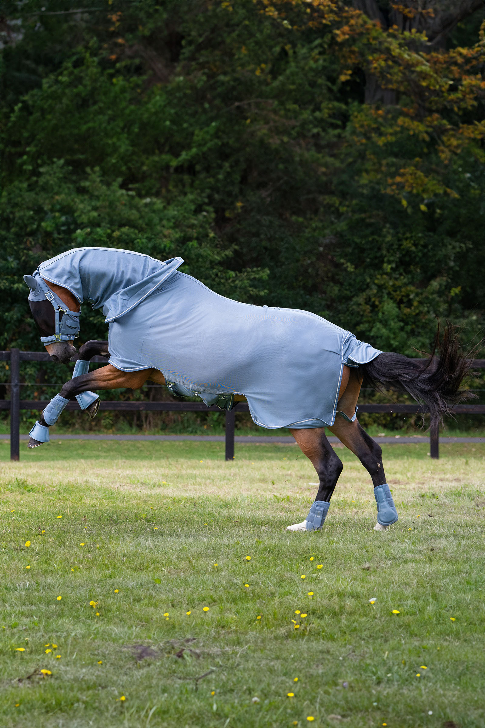 Eskadron Classic Sports SS25 Fly Detach-Neck derka siatkowa przeciw owadom